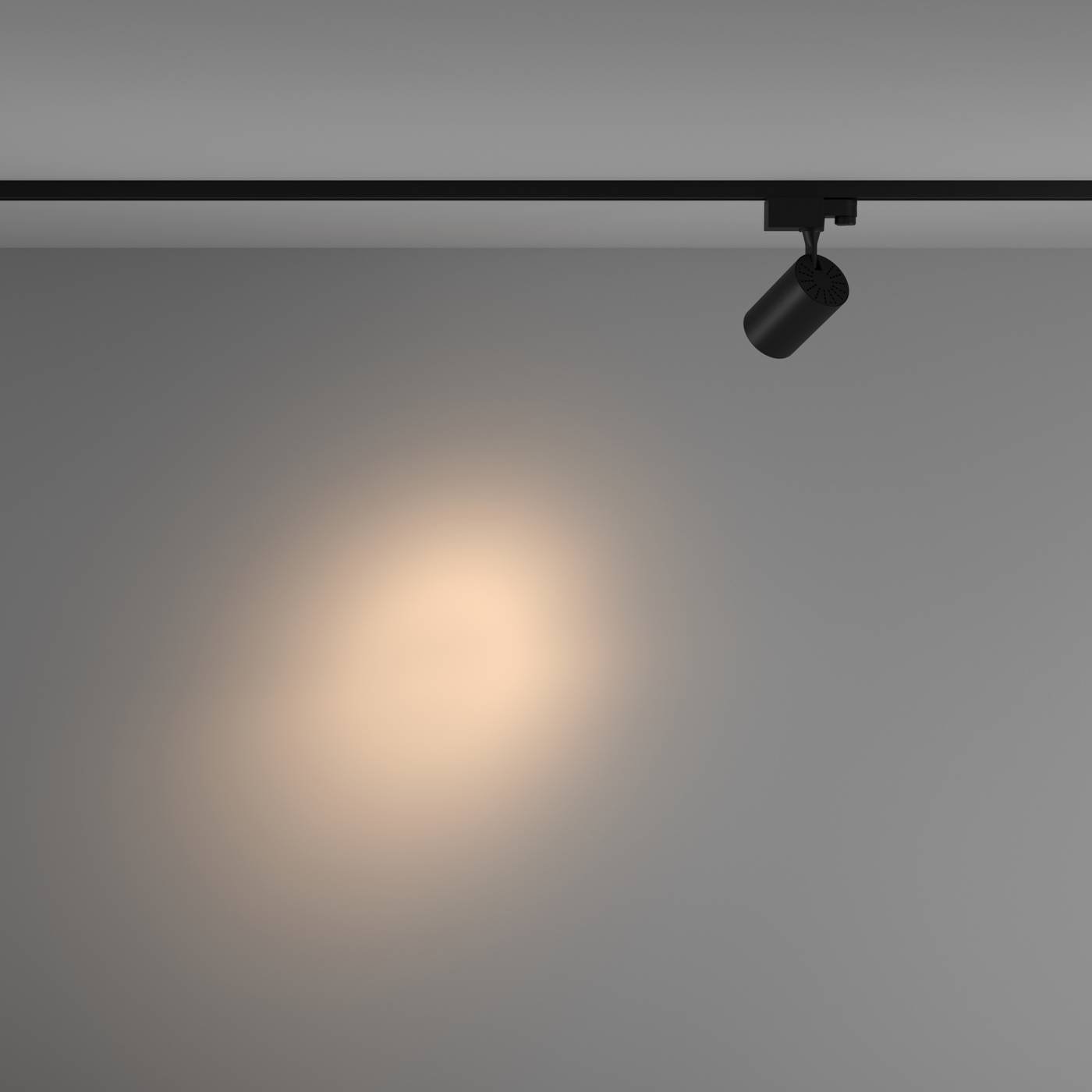 Трековый светильник Maytoni Vuoro Trinity TR029-3-10W3K-S-B