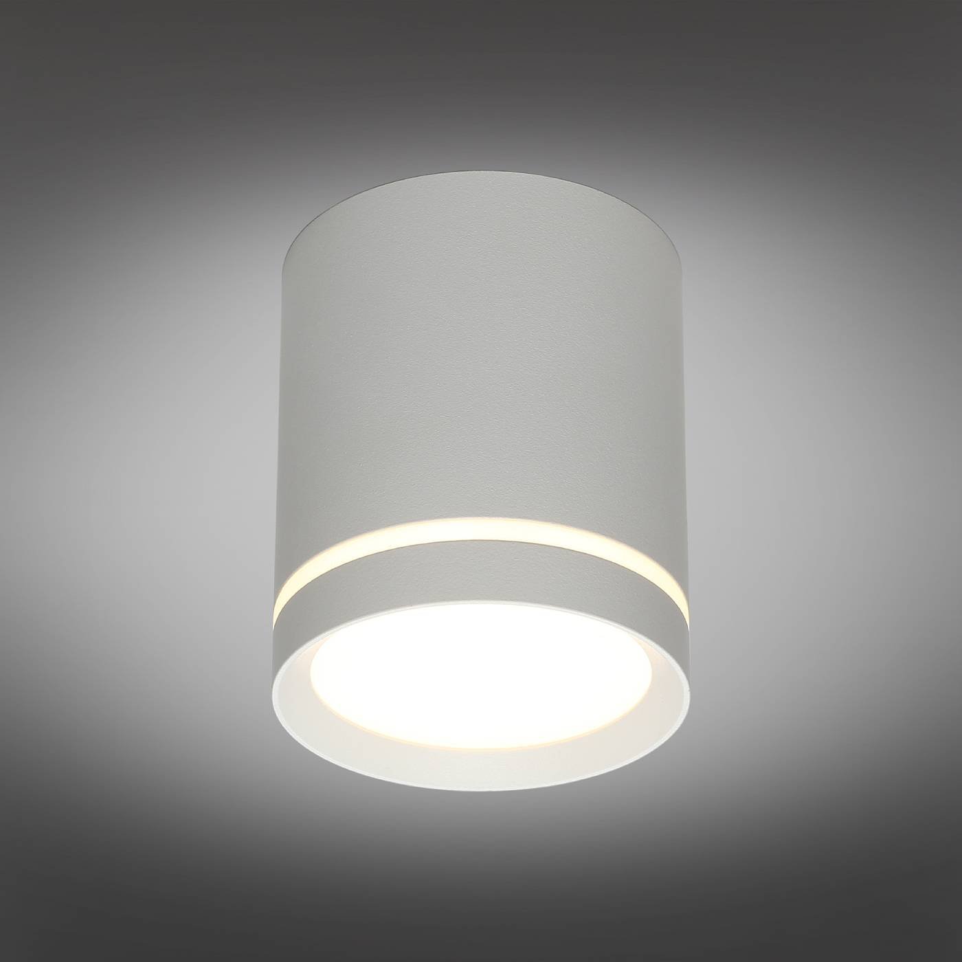 Накладной светильник Omnilux Capurso OML-102429-05