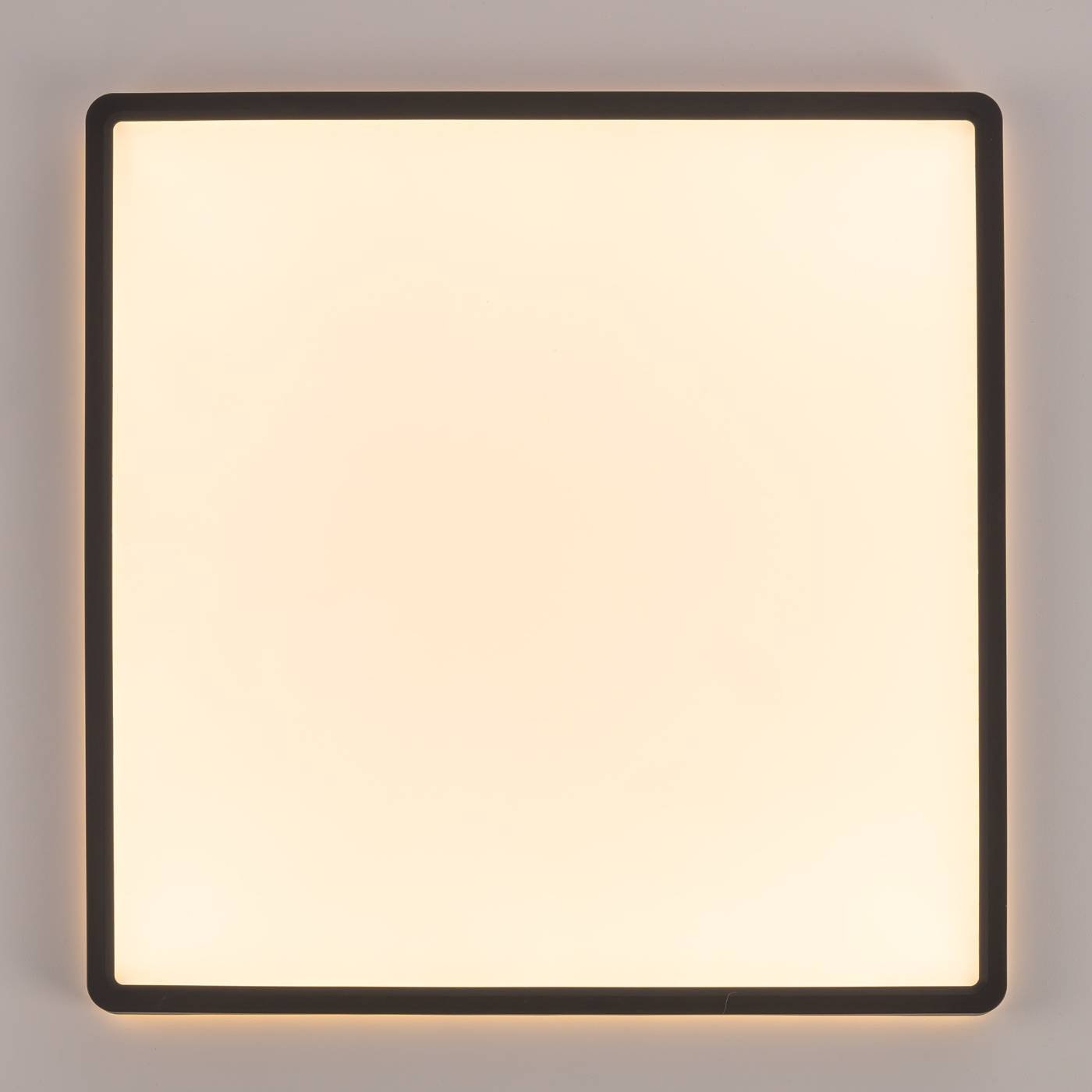 CL748K401 Светильник потолочный Citilux Norma CL748K401