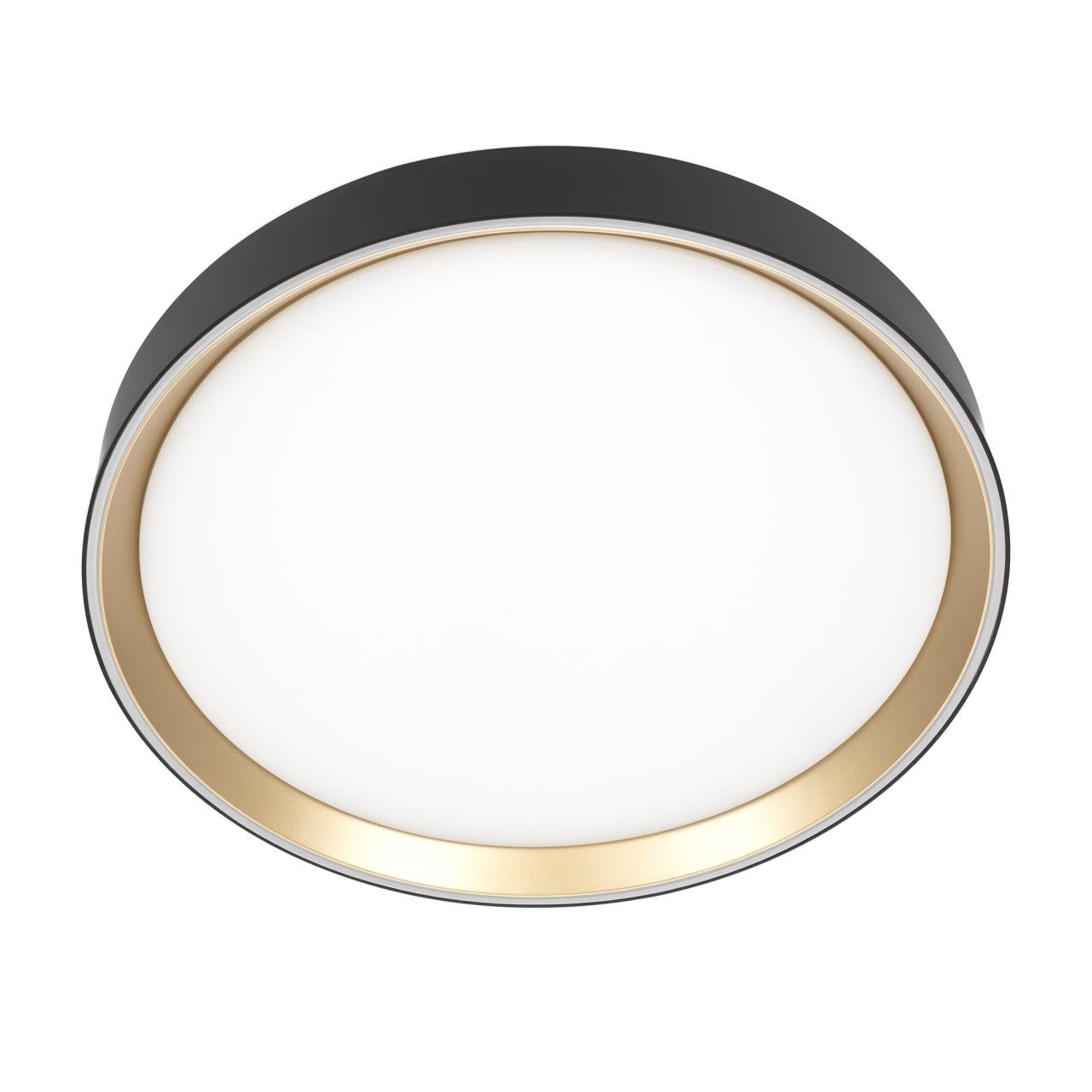 CL751351G Светильник потолочный Citilux Boss CL751351G