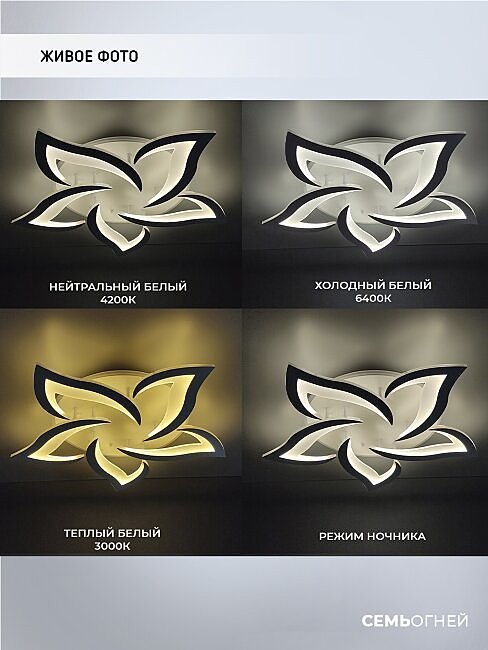 SF5018/6C-WT-RGB Потолочная люстра Seven Fires Lorens SF5018/6C-WT-RGB