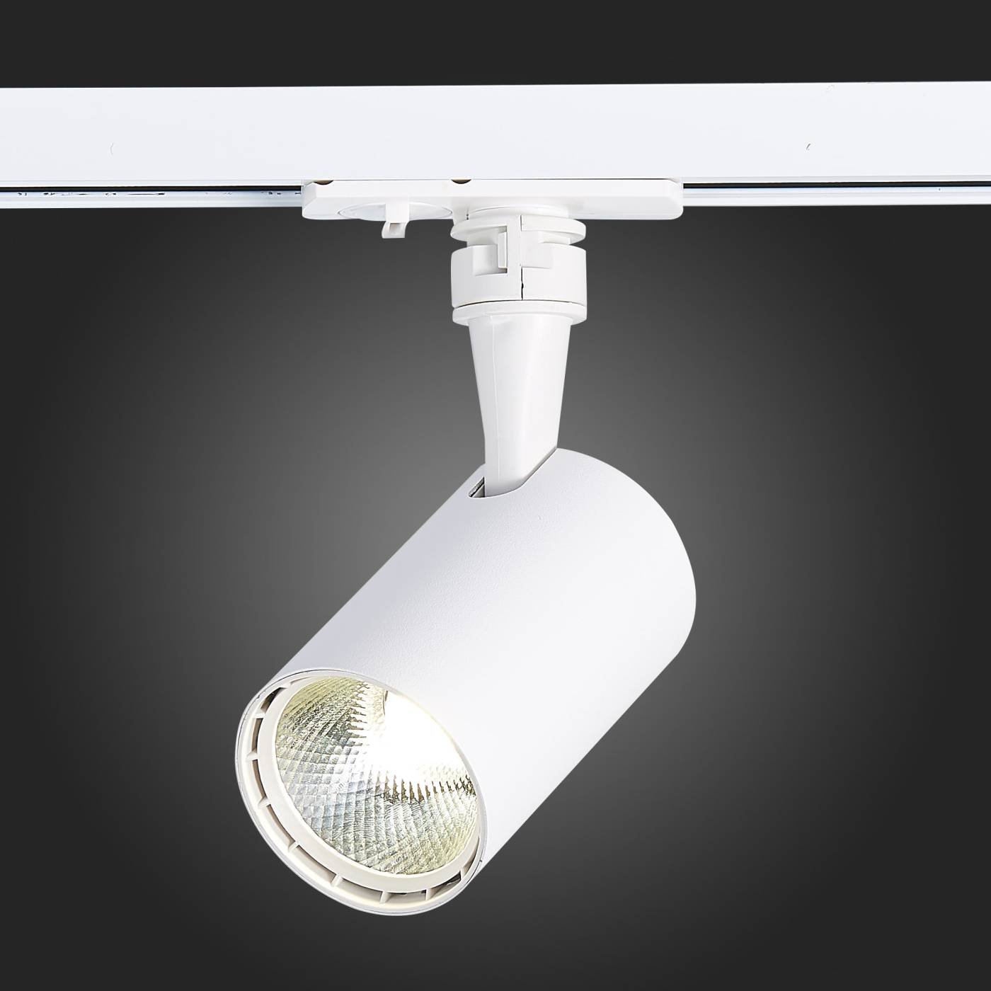 ST351.546.10.36 Трековый светильник ST Luce Cami ST351.546.10.36