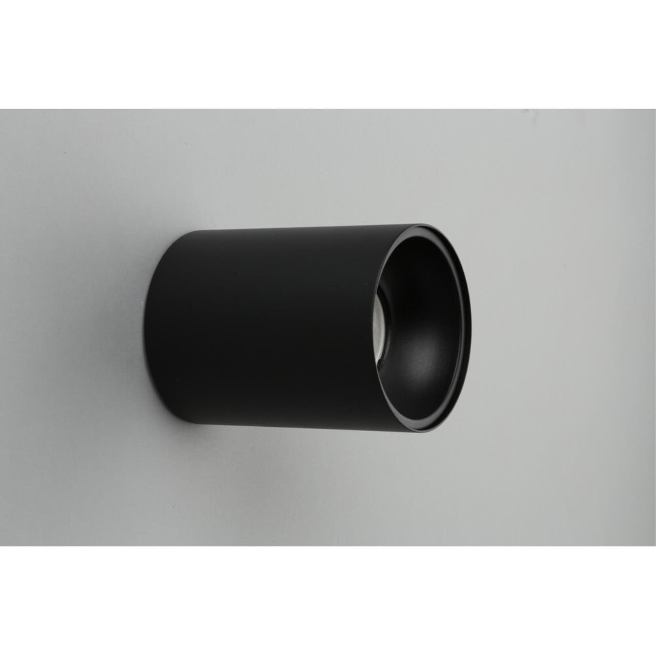 OML-101219-01 Накладной светильник Omnilux Cariano OML-101219-01