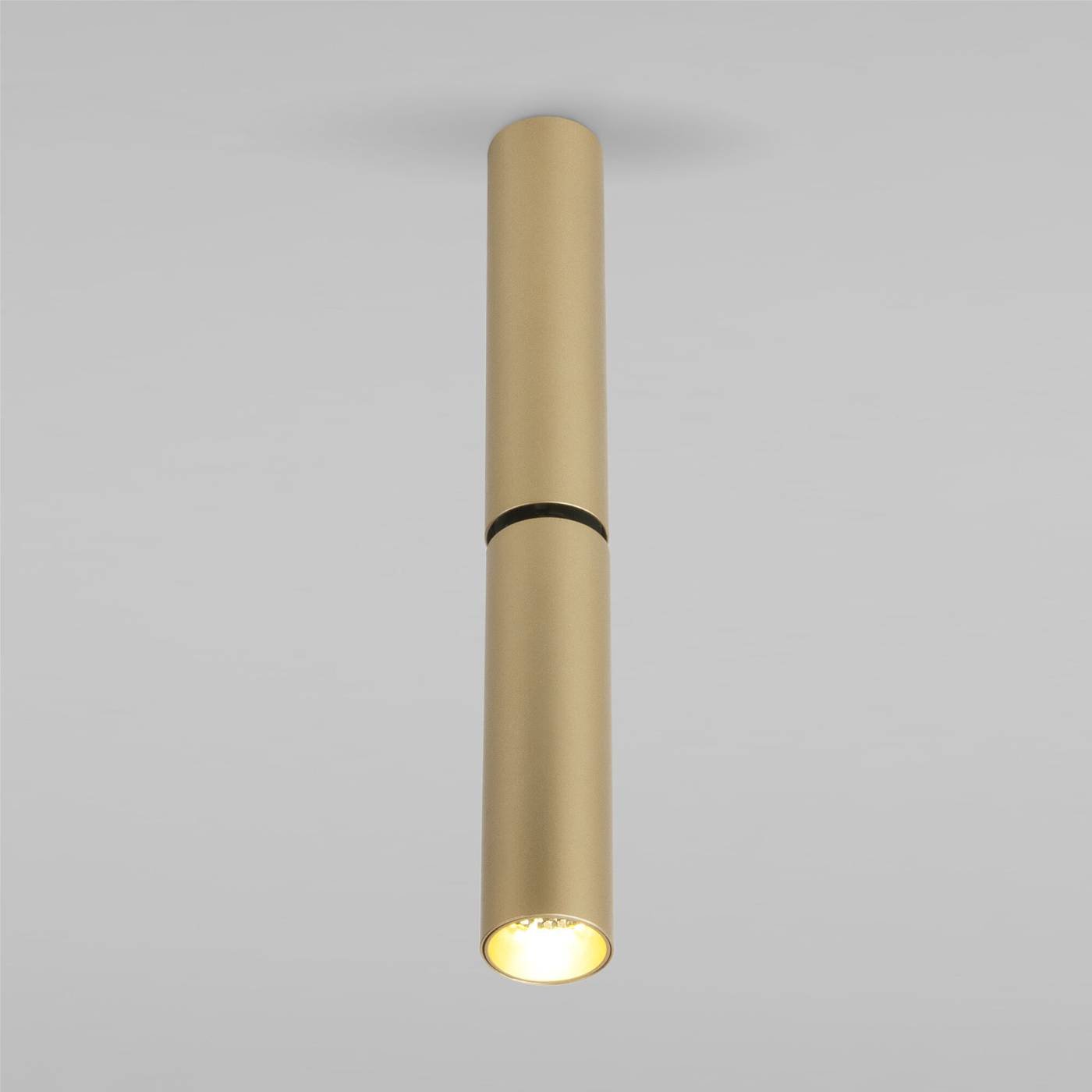 Накладной светильник Elektrostandard Pika Pika 6W (25029/LED) латунь