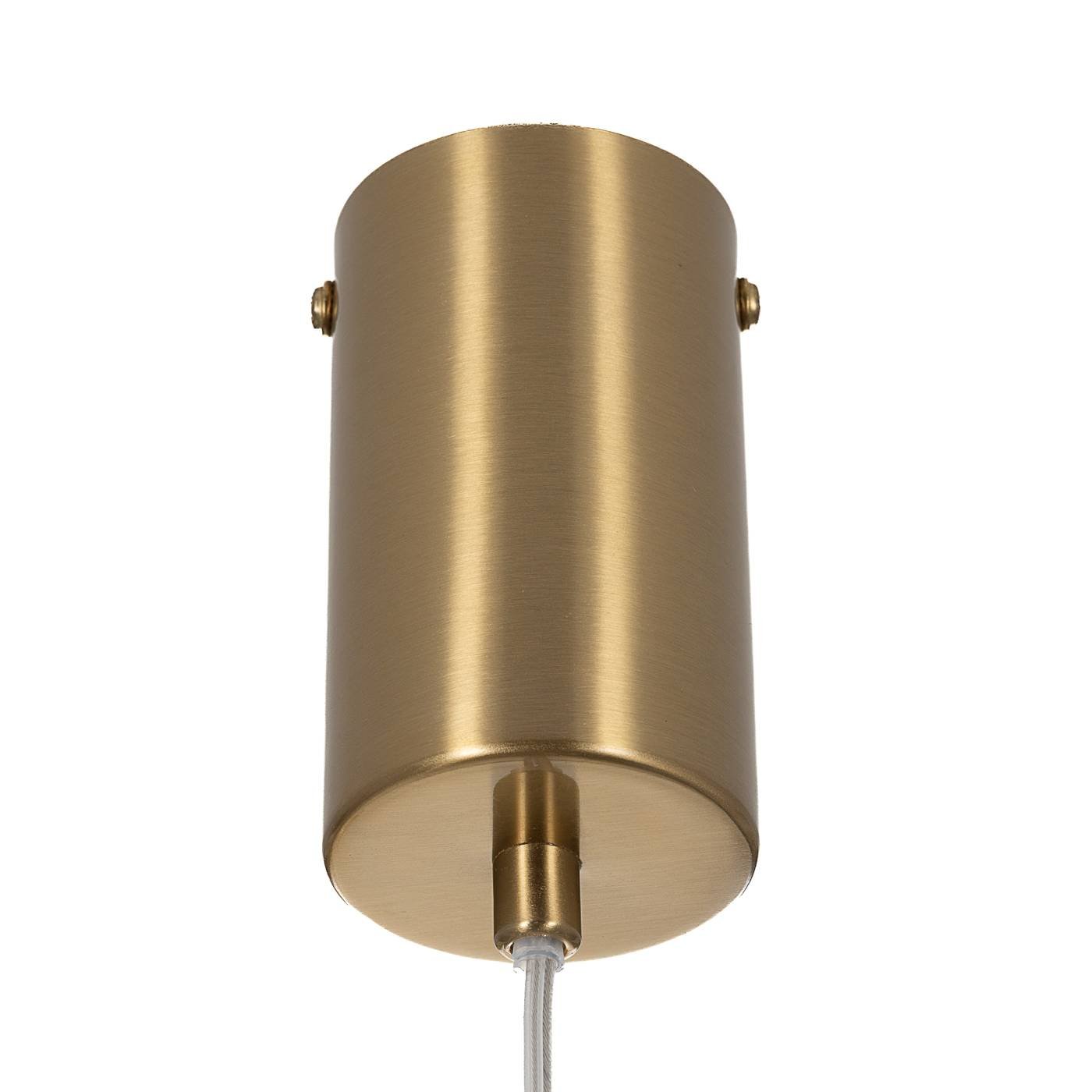 Подвесной светильник FERNET Citilux CL254010