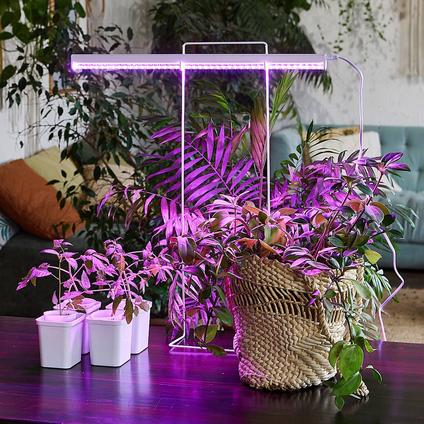 ULI-P20-10W/SPSB IP40 WHITE Светильник для растений светодиодный линейный, 560мм Uniel ULI-P20-10W/SPSB IP40 WHITE