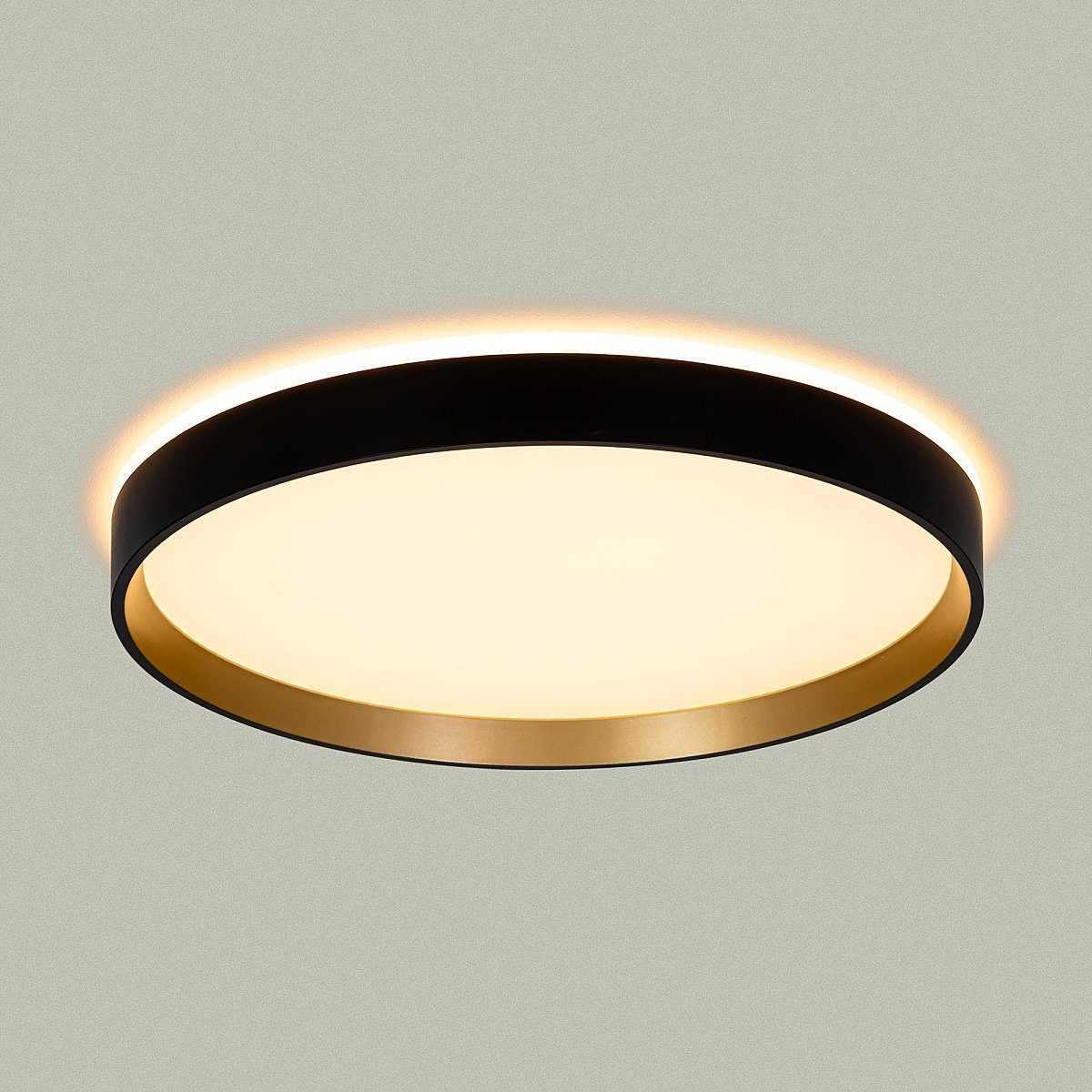 Светильник потолочный Citilux Etalon CL750321R