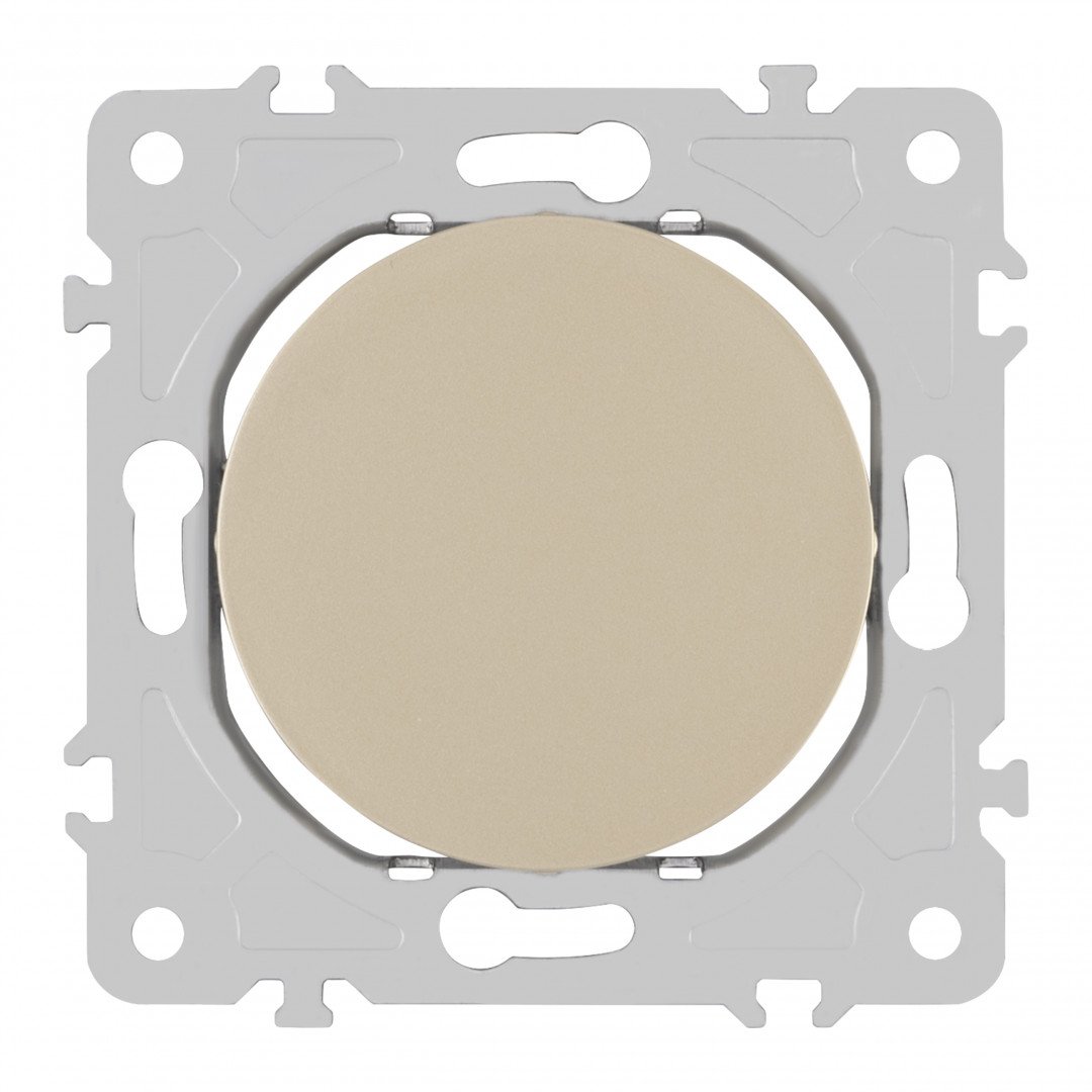 Накладка на механизм Arte Milano Am-202 202.50-1.shampan