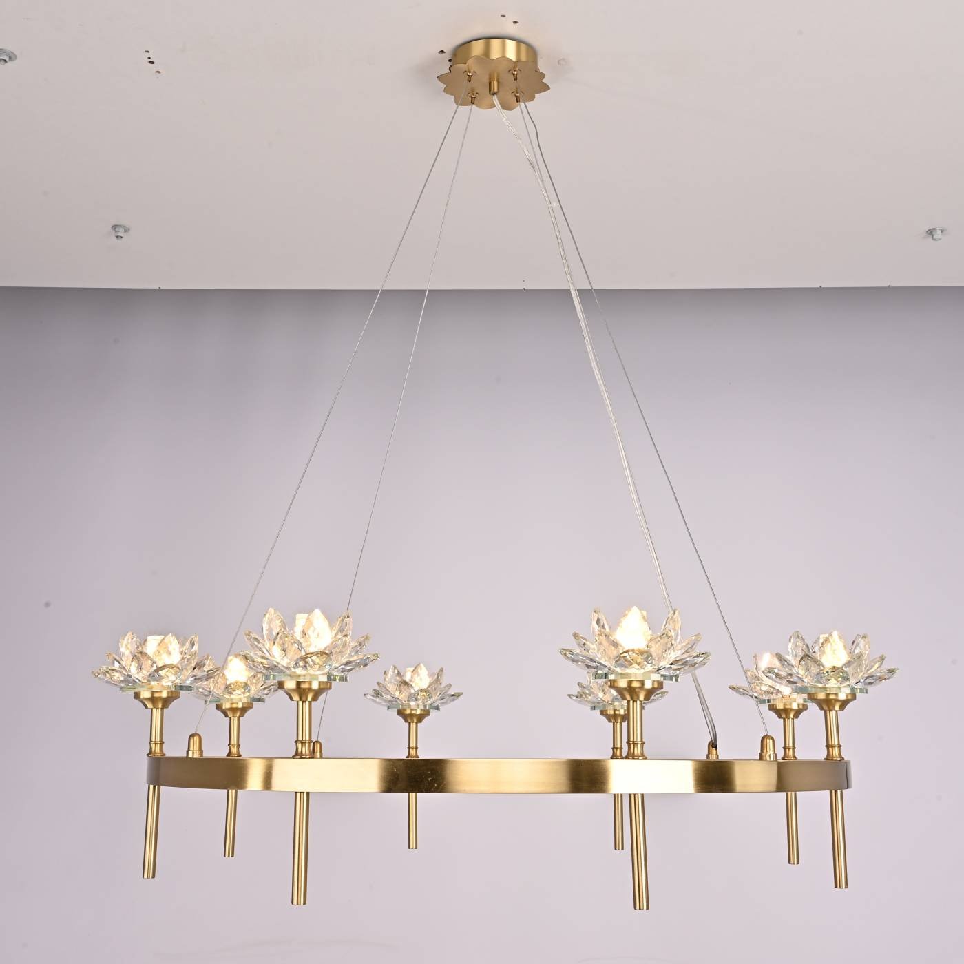 Подвесная люстра ImperiumLoft Lotos01 140837-26
