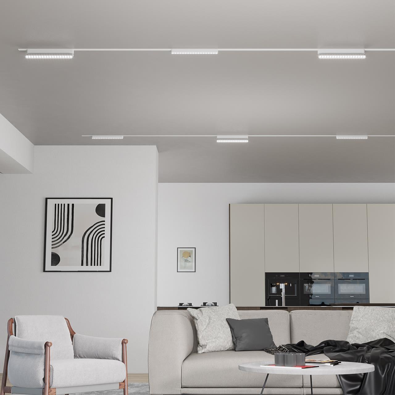 Трековый светильник Novotech Smal 359245