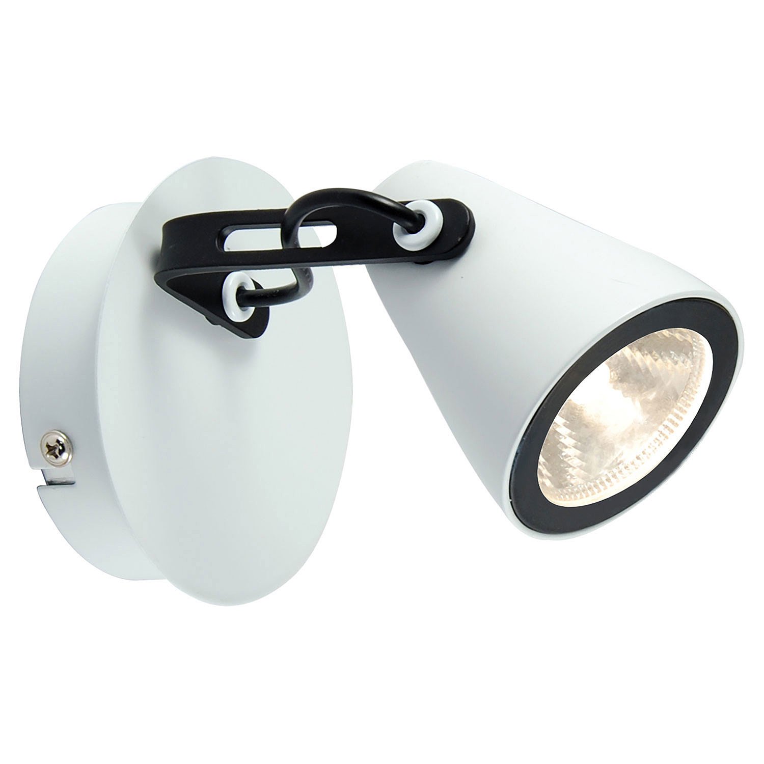 LSN-4101-01 Светильник спот Lussole LOFT Merano LSN-4101-01