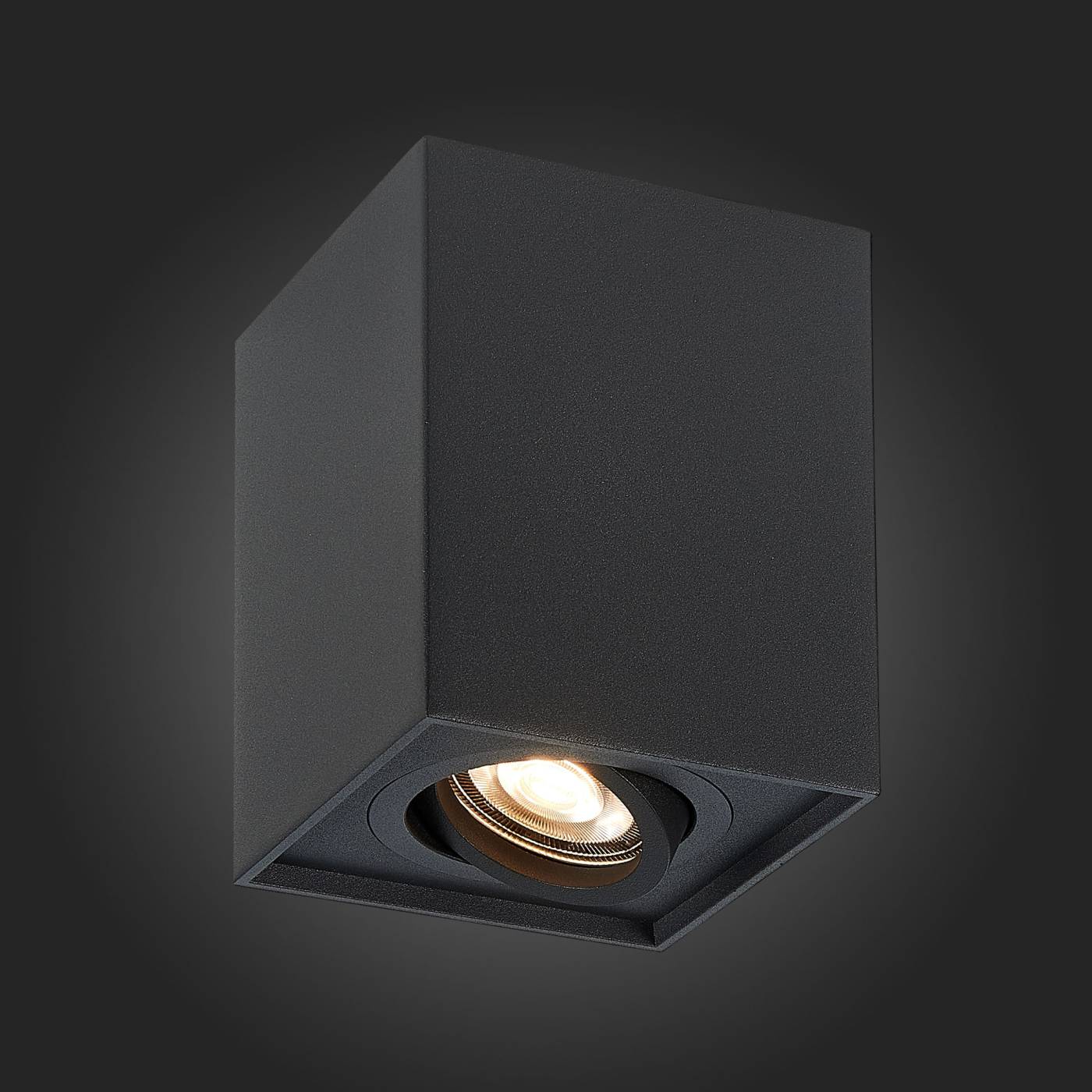 Накладной светильник ST Luce Quadrus ST109.407.01