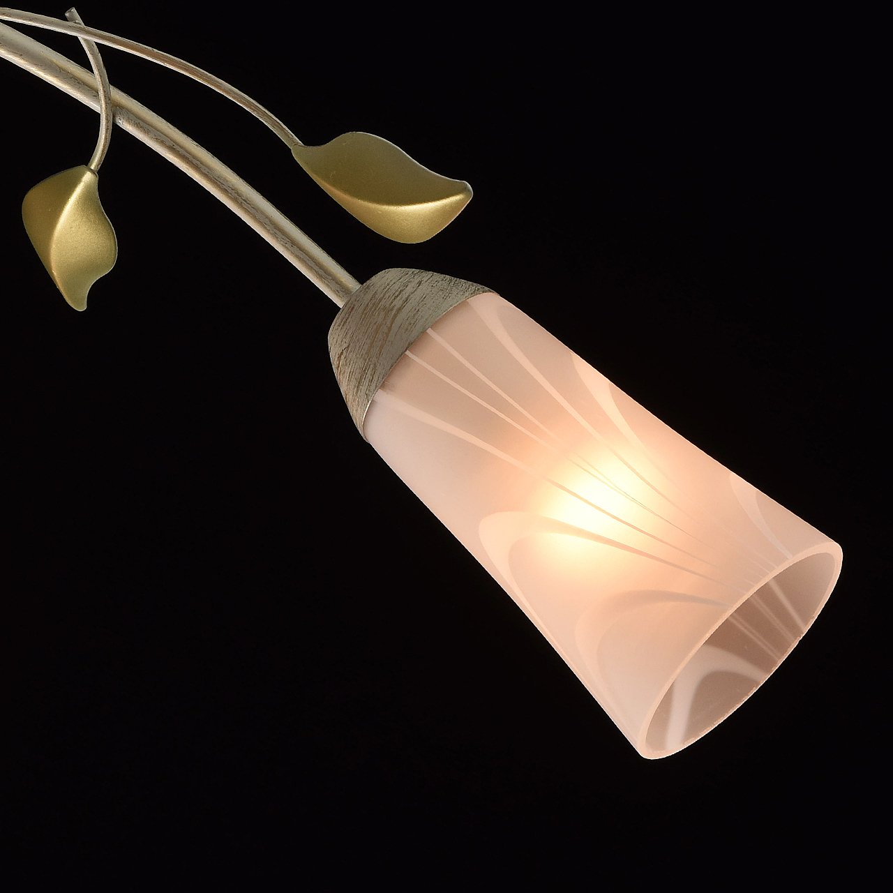 Потолочная люстра MW Light Восторг 242015306