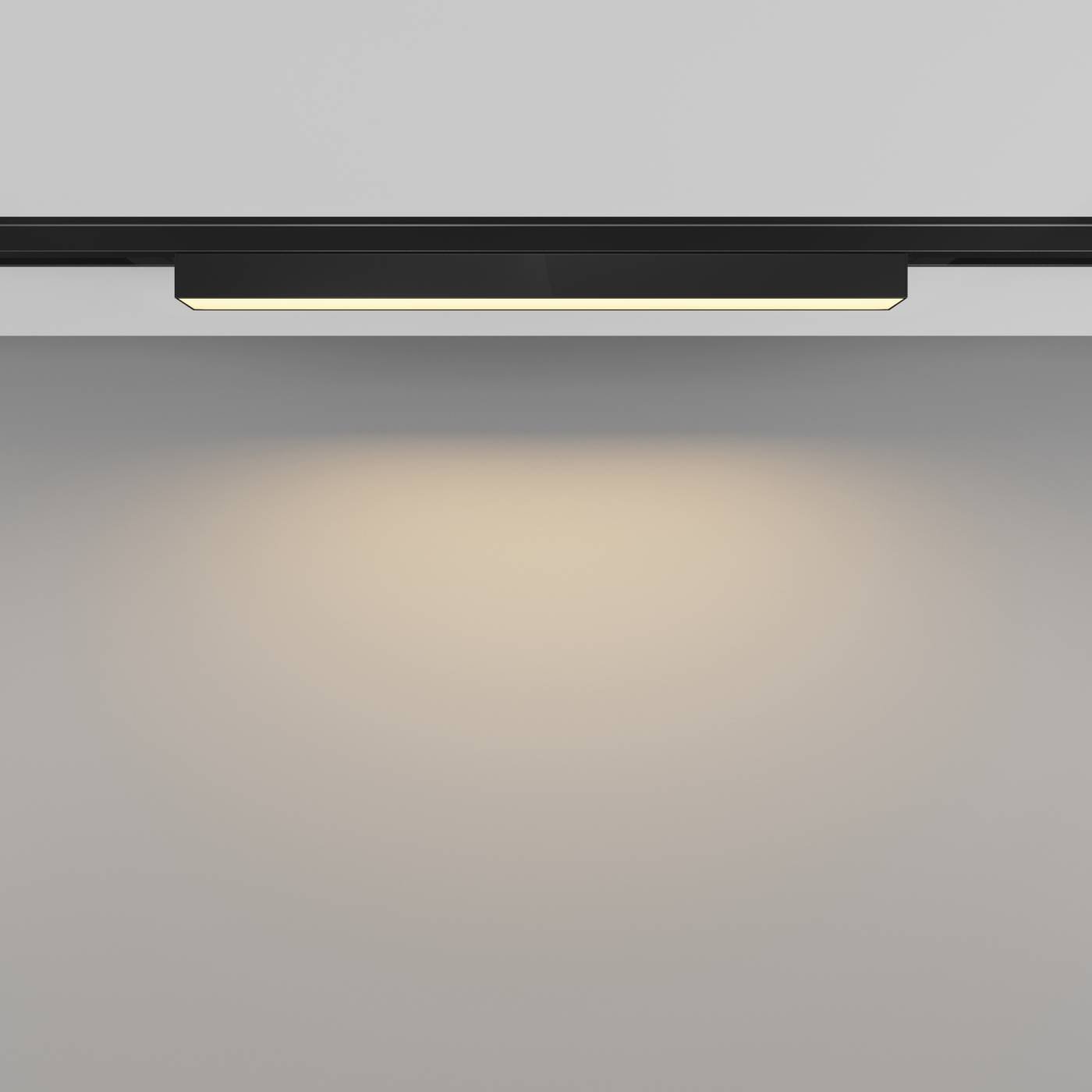 TR192-1-8W2.7K-B Трековый светильник Maytoni Basis TR192-1-8W2.7K-B