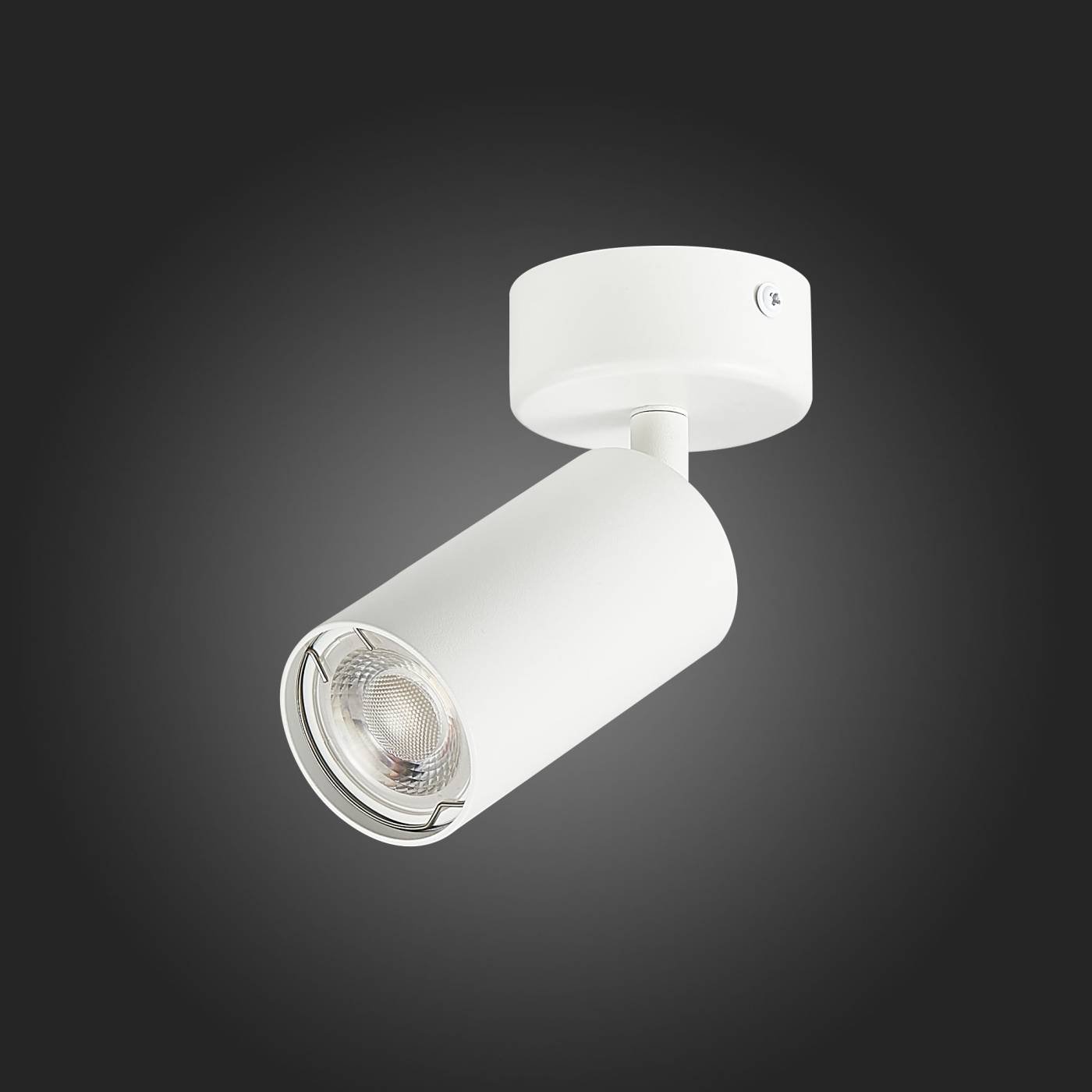 ST303.502.01 Светильник спот ST Luce Dario ST303.502.01