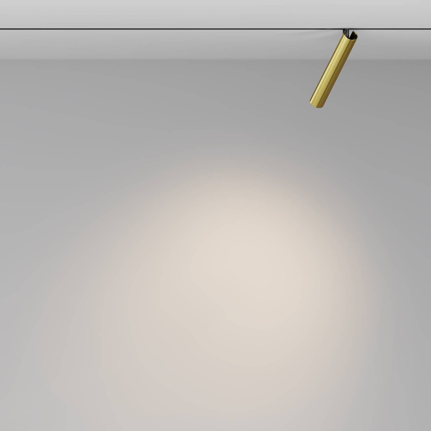 Трековый светильник Maytoni Focus T Exility TR141-2-6W3K-M-BS