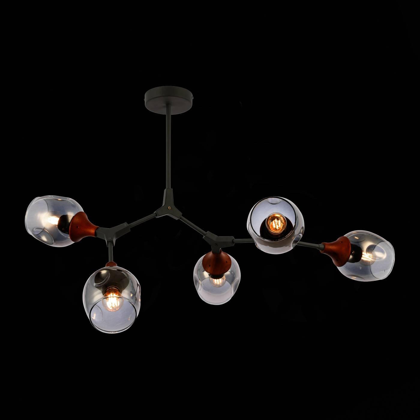 SLE113402-05 Потолочная люстра Evoluce Ciotolla SLE113402-05