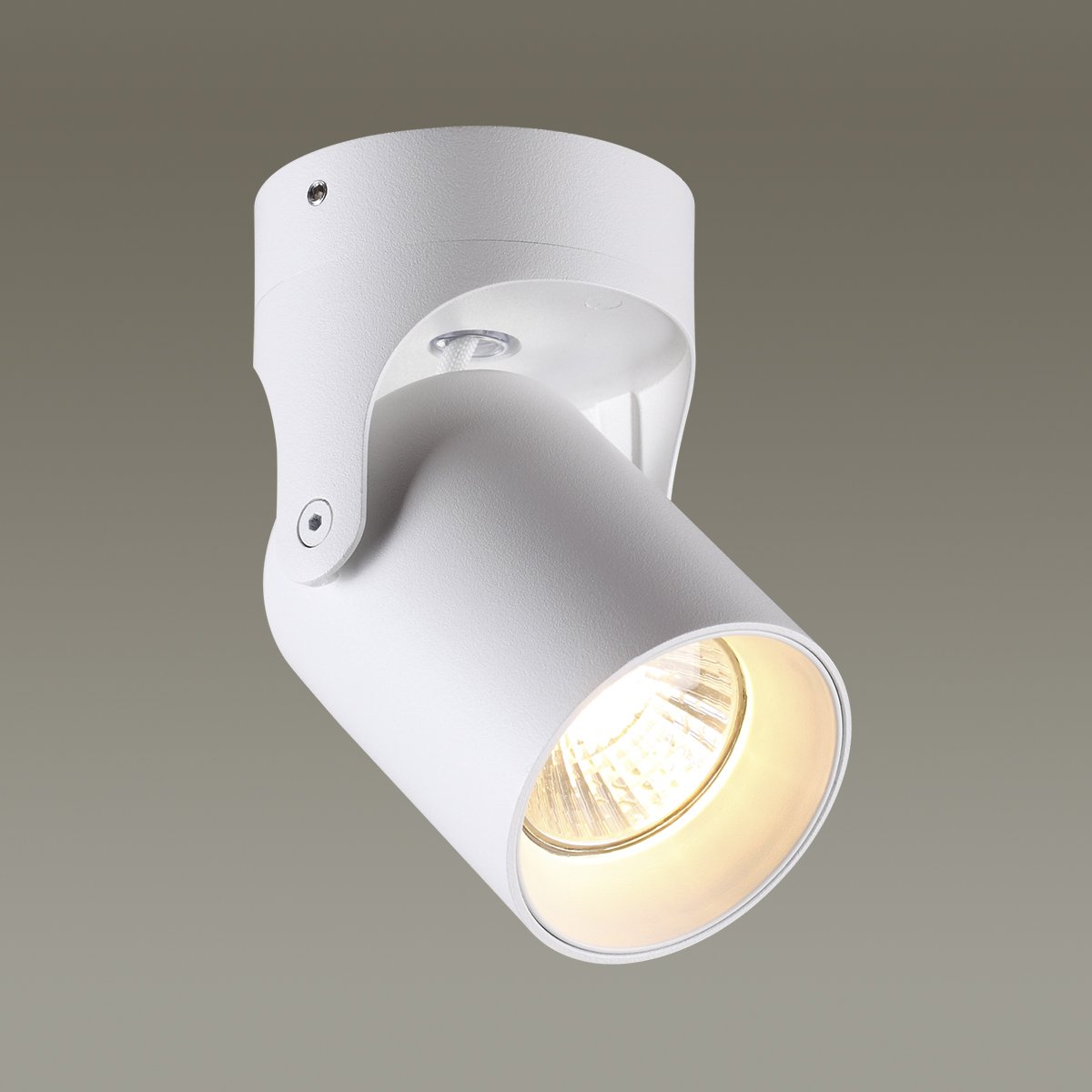 Светильник спот Odeon Light Corsus 3854/1C