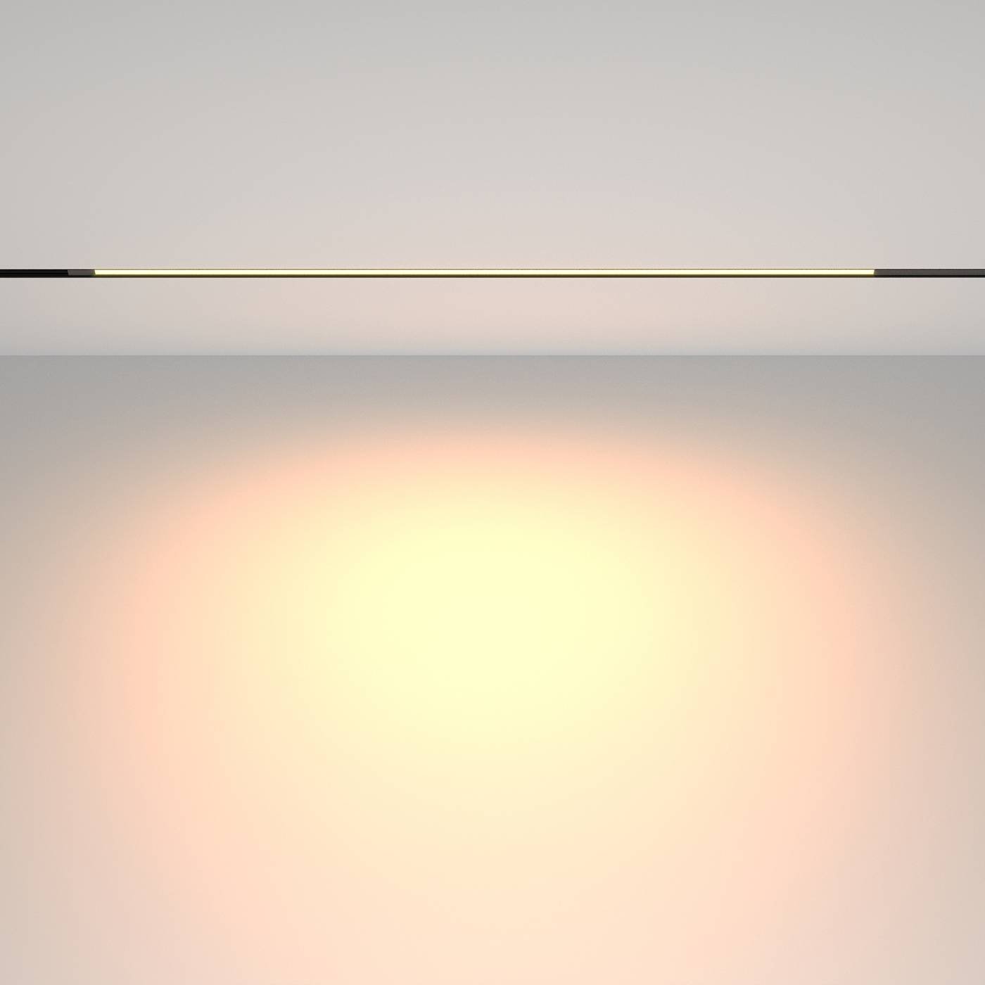 TR231-2-15W3K-B Трековый светильник Maytoni Basis TR231-2-15W3K-B