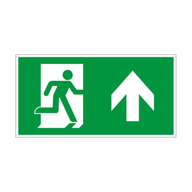 Сменная пиктограмма для аварийных панелей VECTOR Arlight Emg-Vector 046664