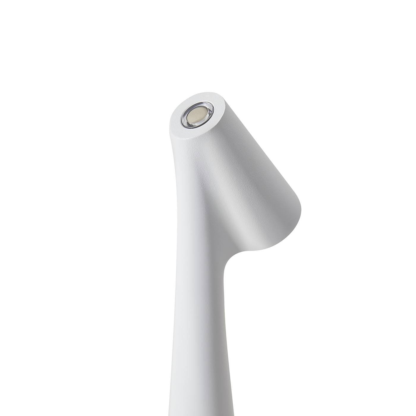 FR6188TL-L3W Настольная лампа Freya Clam FR6188TL-L3W