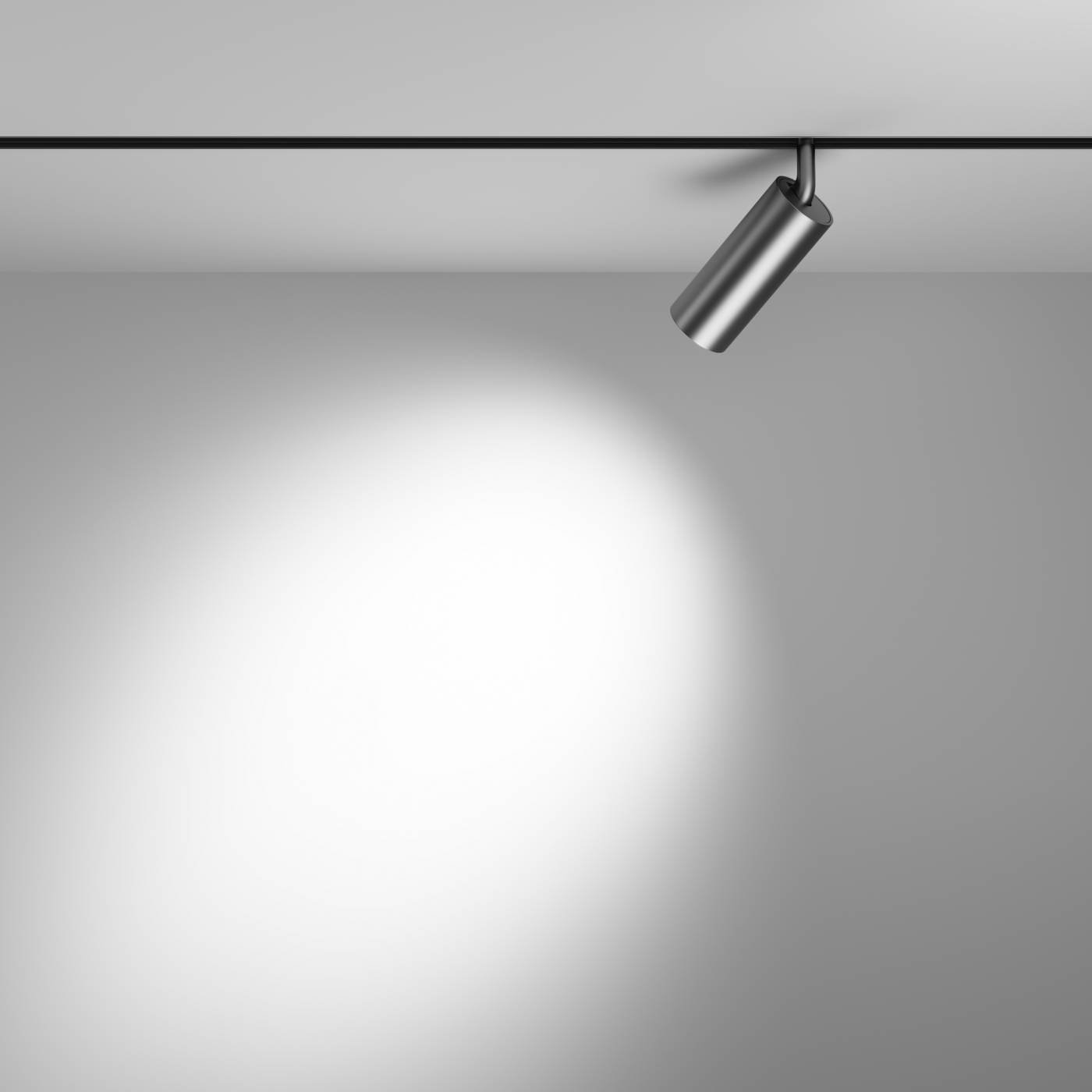 TR032-2-12W3K-S-MG Трековый светильник Maytoni Focus LED Exility TR032-2-12W3K-S-MG