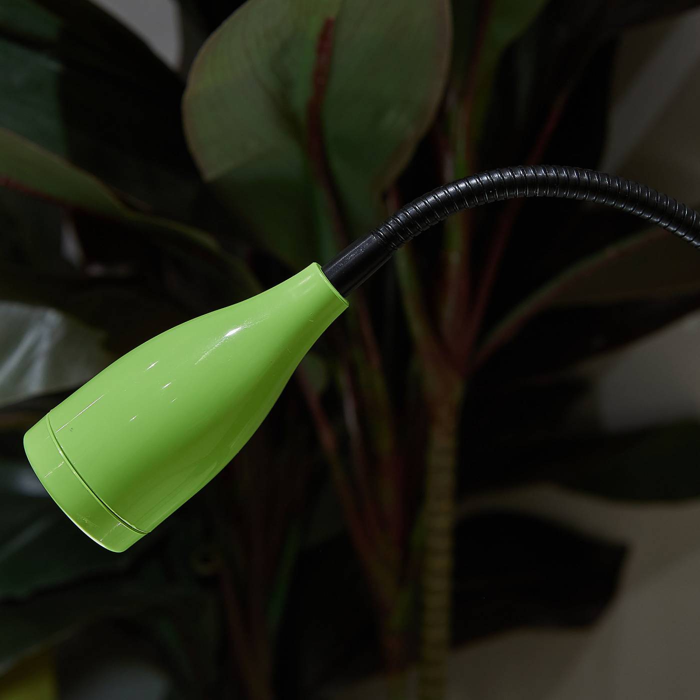 ULM-D501 4W/4000K GREEN Настольная лампа Uniel Ulm ULM-D501 4W/4000K GREEN