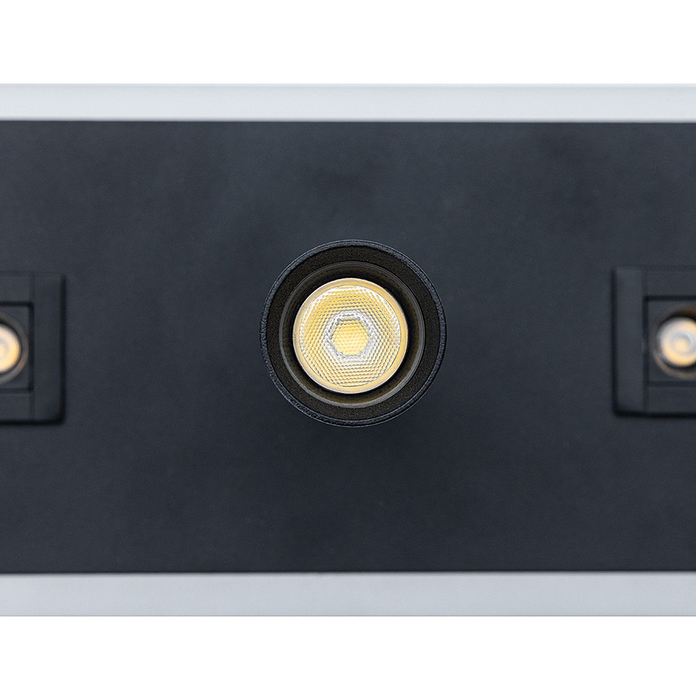 Светильник спот Arte Lamp A2220PL-3BK