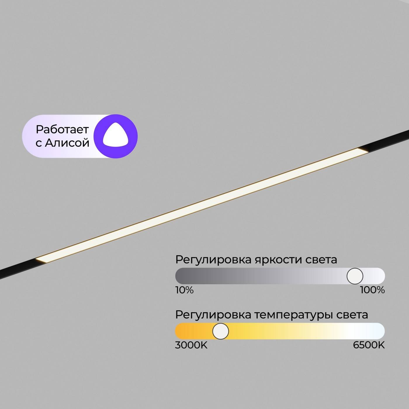 Трековый светильник ElDeko Hesby Lighting HSBL_0237