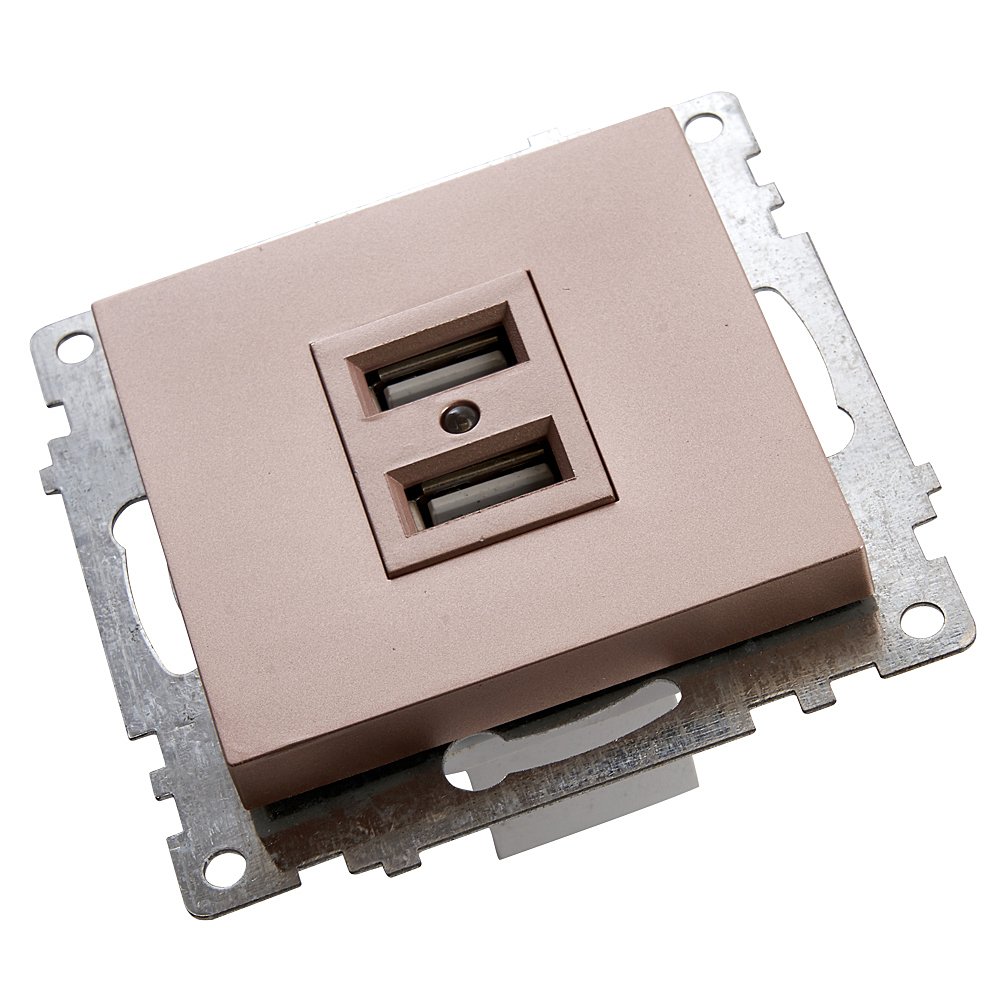 39602 Розетка USB 2-местная Stekker Катрин 39602
