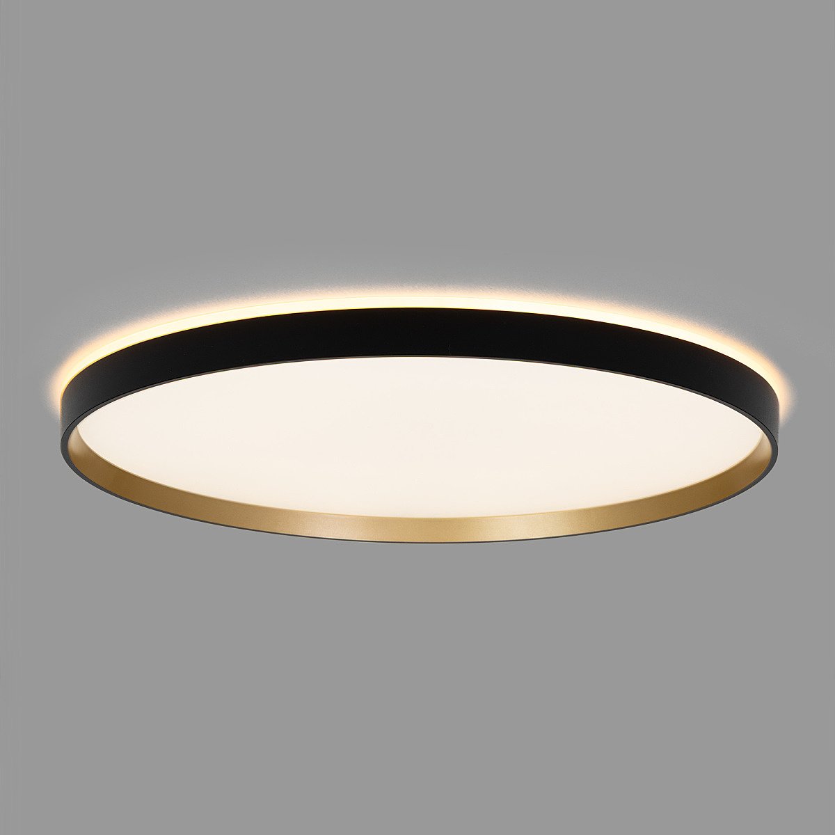 Светильник потолочный Citilux Etalon CL750501R