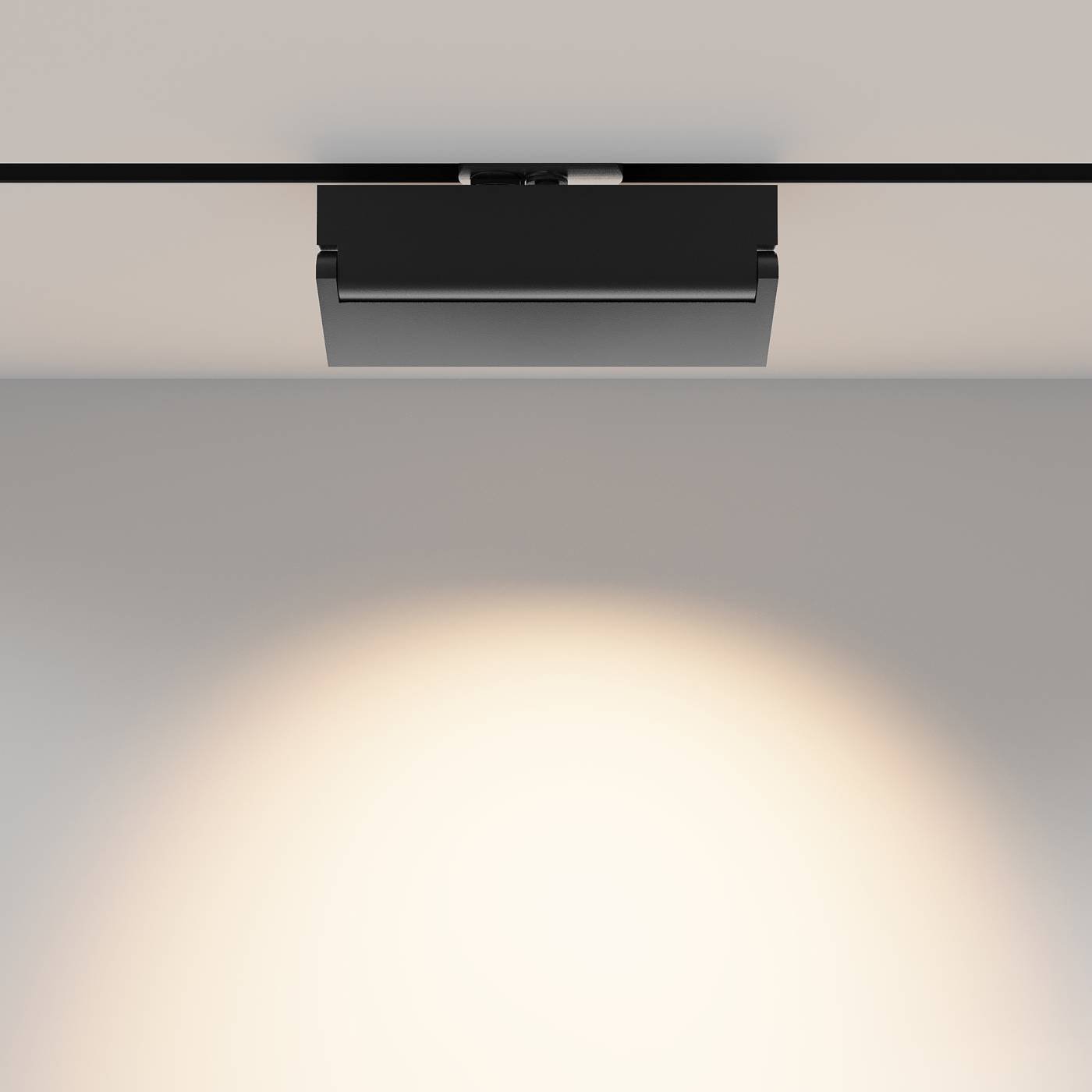 Трековый светильник Maytoni Points Rot TR224-1-12WCCT-M-B