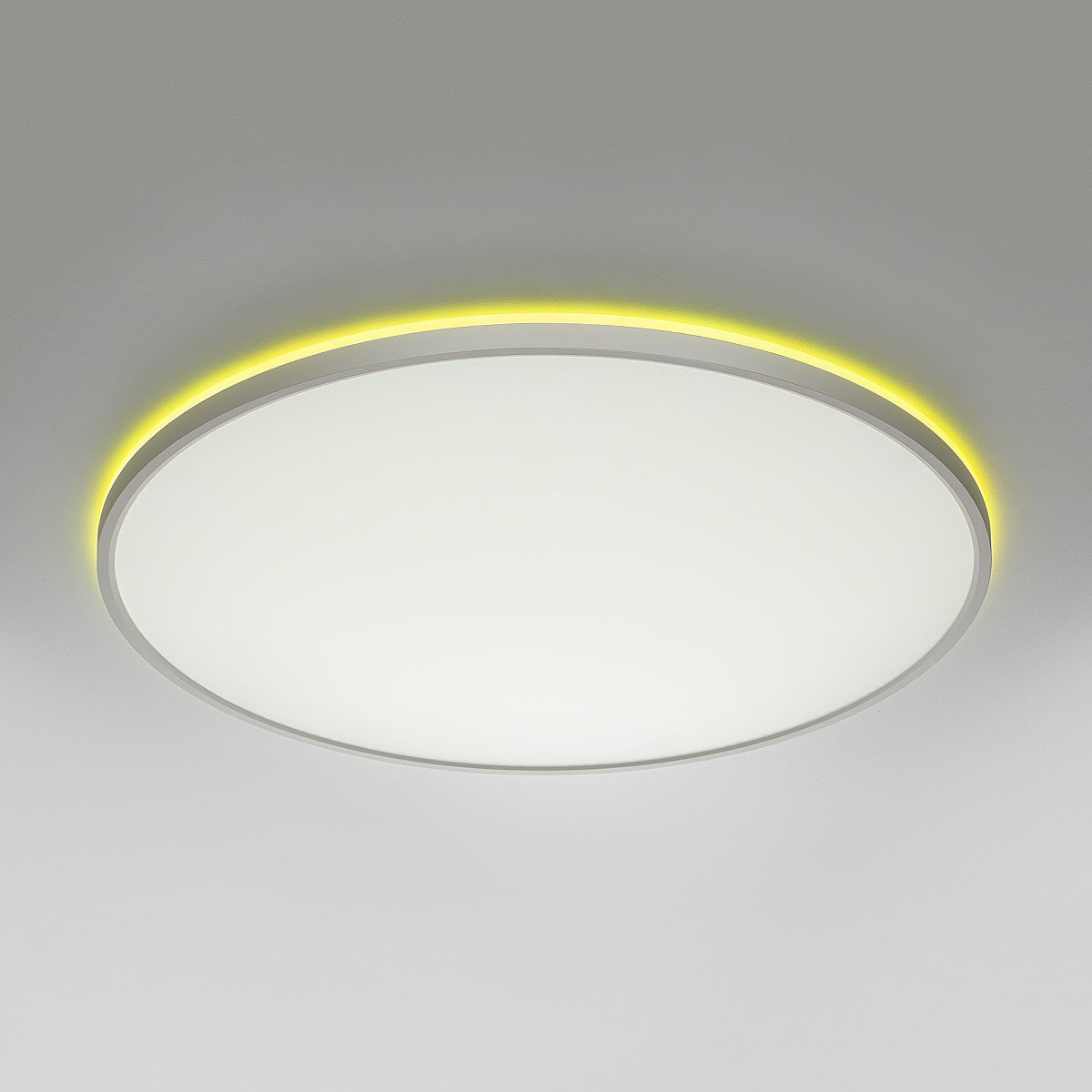 CL749600 Светильник потолочный Citilux Norma CL749600