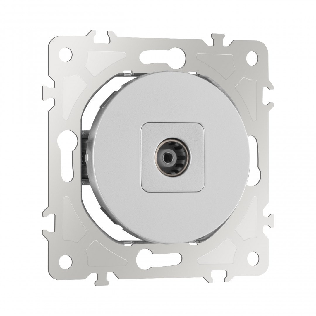 Розетка Arte Milano Am-202 202.43-1.silver