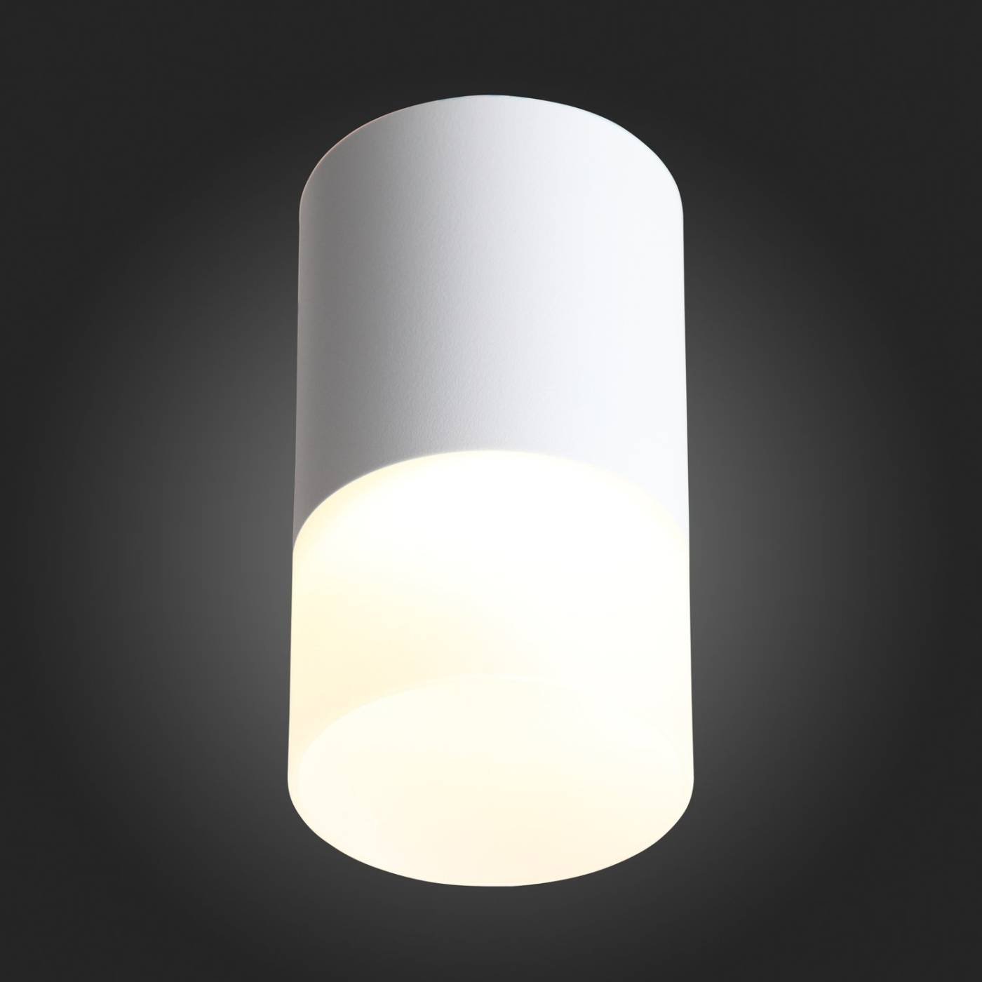 Накладной светильник ST Luce Ottu ST100.502.05