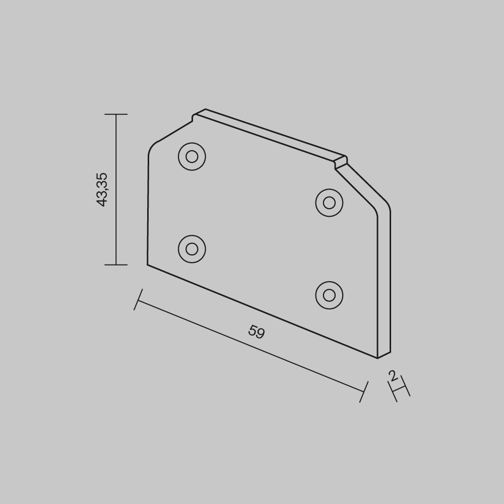 Заглушка торцевая к профилю, 2шт Accessories for tracks Trinity Maytoni TRA005MPEC-S(N)