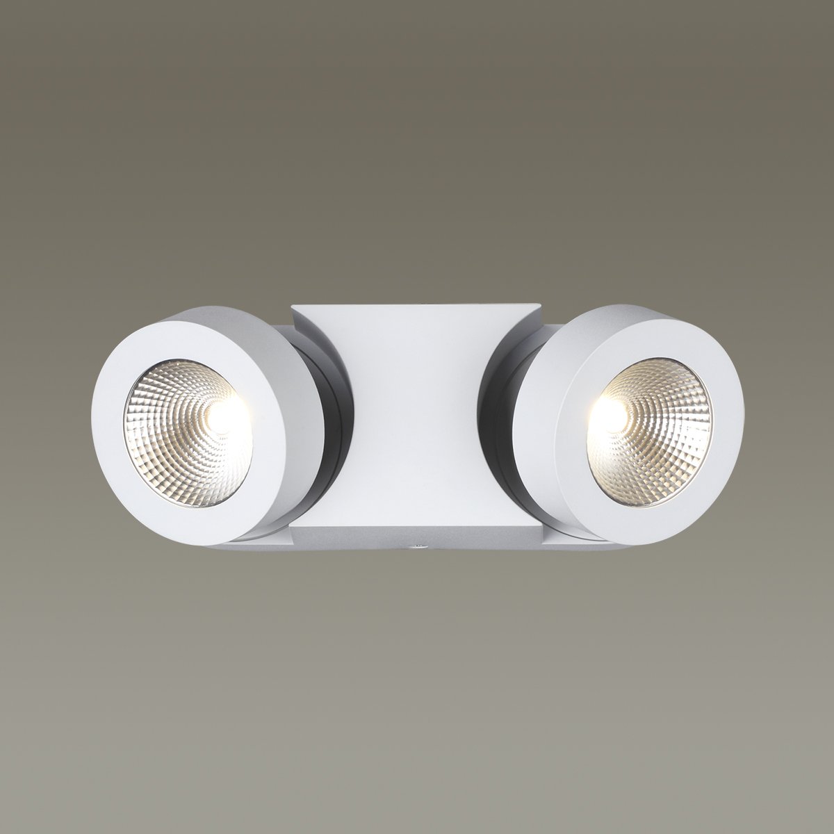 Светильник спот Odeon Light Laconis 3538/2WL