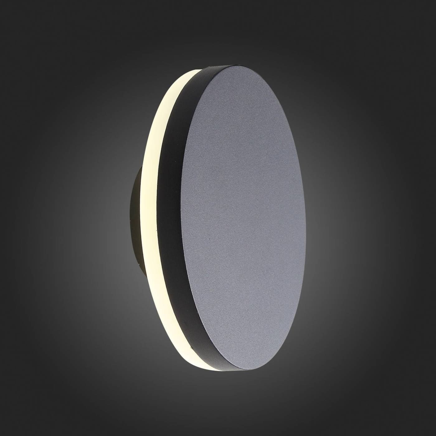 Уличный LED настенный светильник ST Luce SL087 SL087.401.01