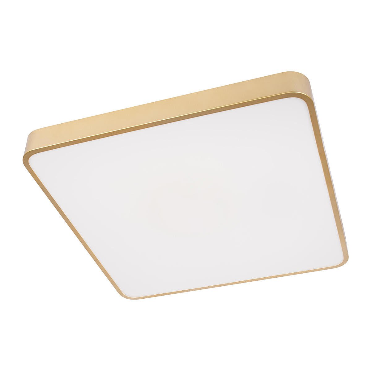 Светильник потолочный Loft It Flims 10228/D