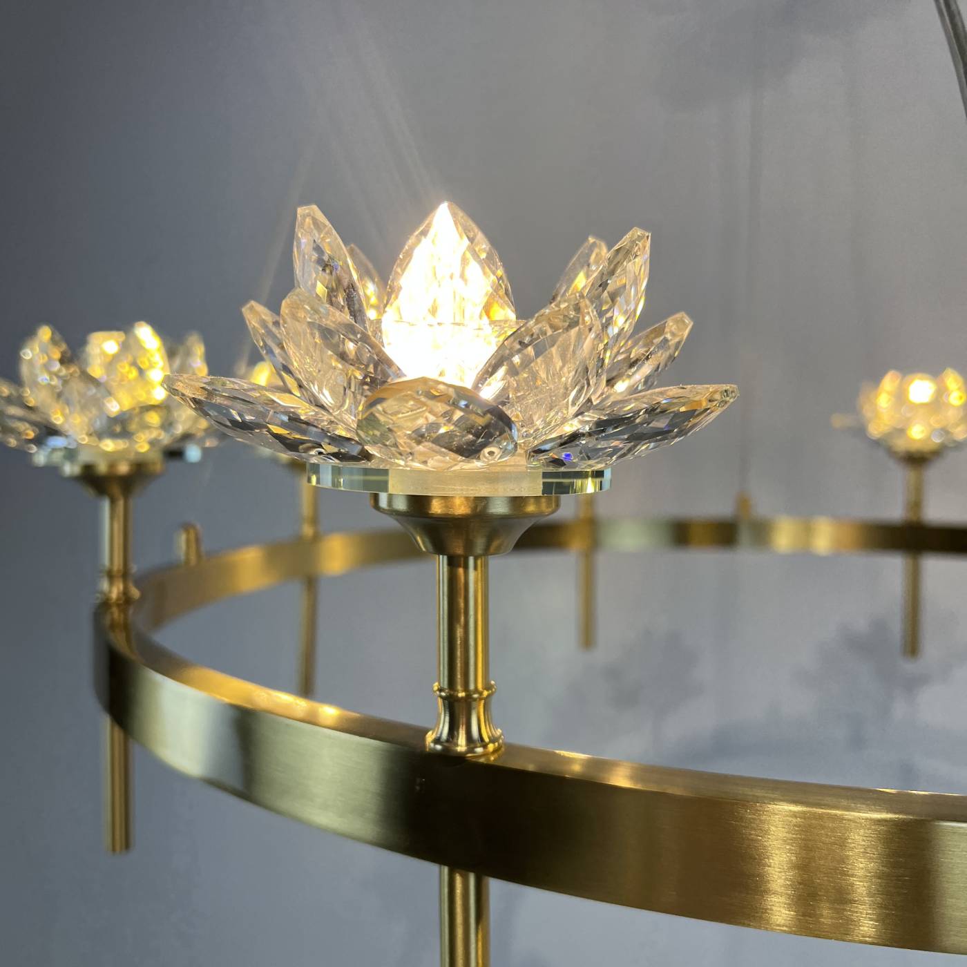 Подвесная люстра ImperiumLoft Lotos01 140837-26