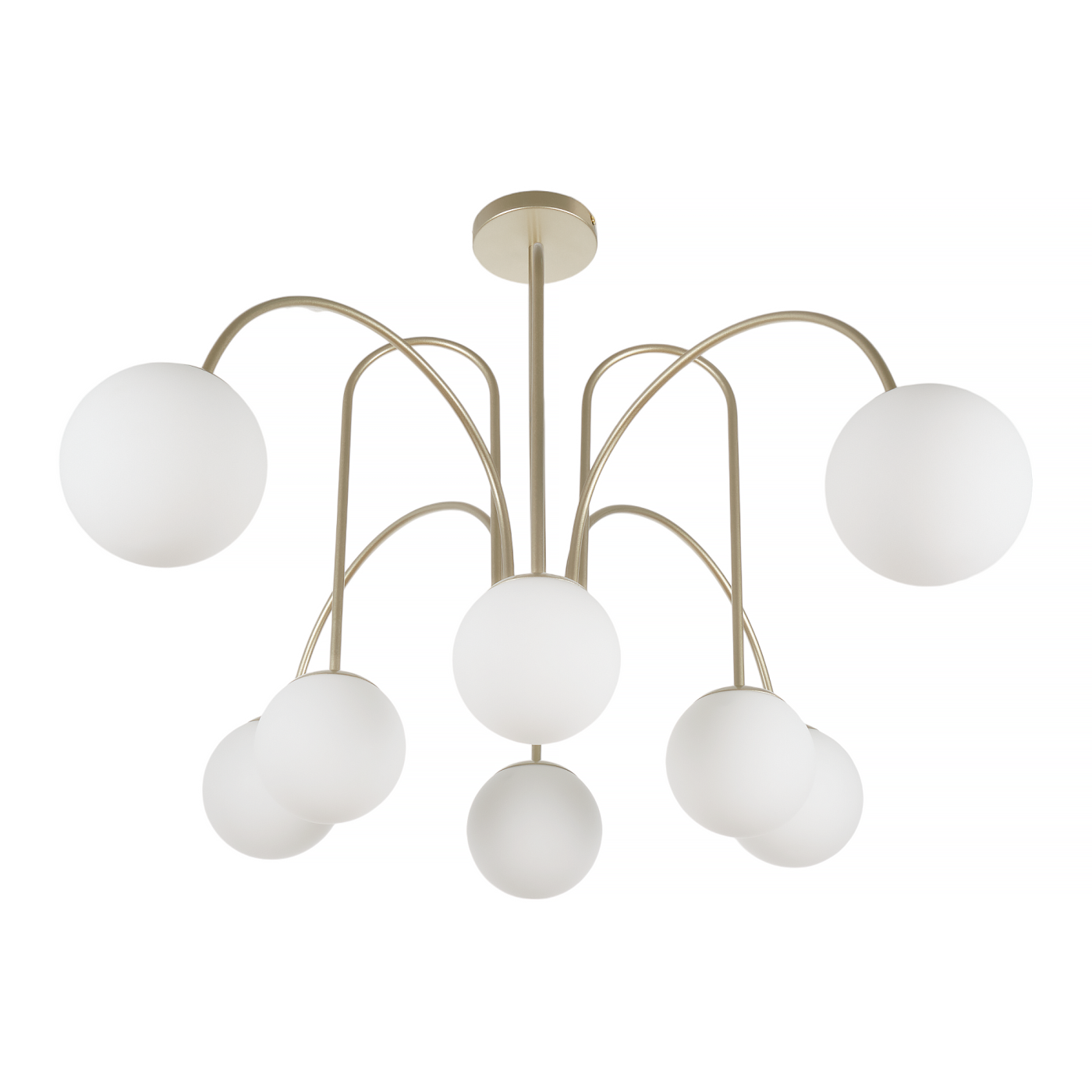 MR2351-8C Потолочная люстра MyFar Cassia MR2351-8C
