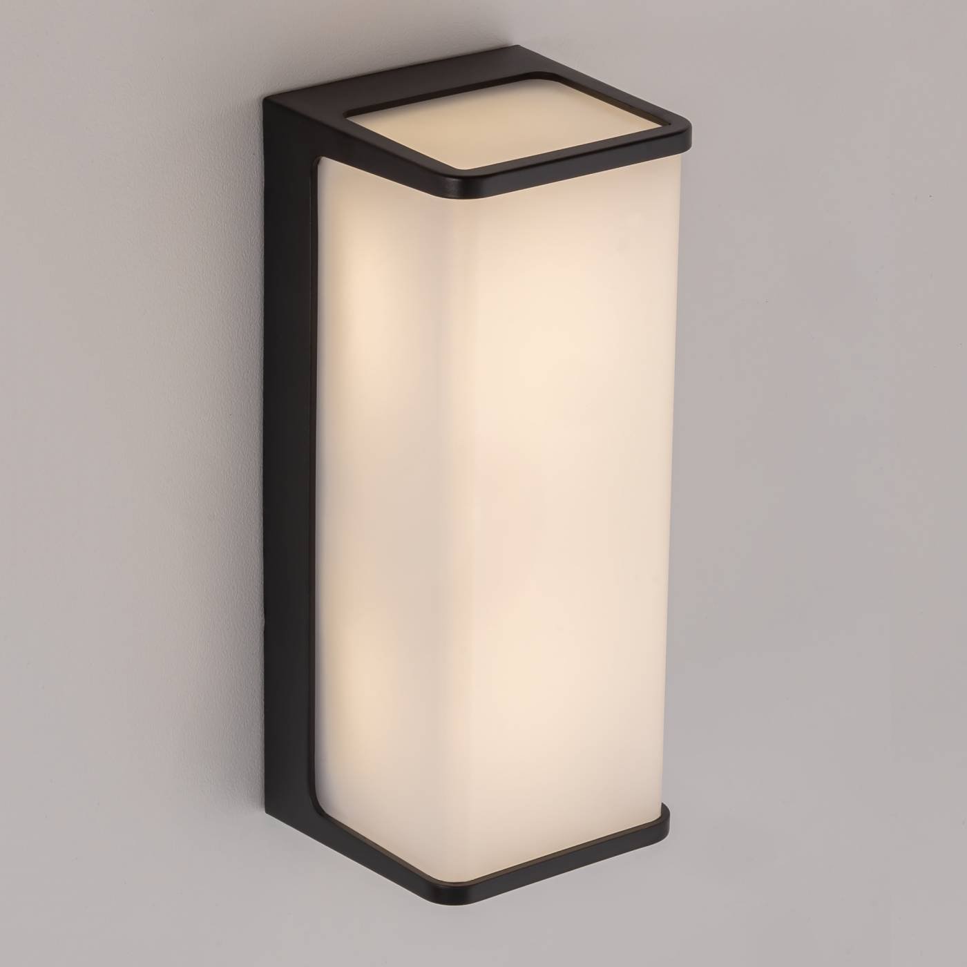 CLU0802 Уличный настенный светильник Citilux Domus CLU0802