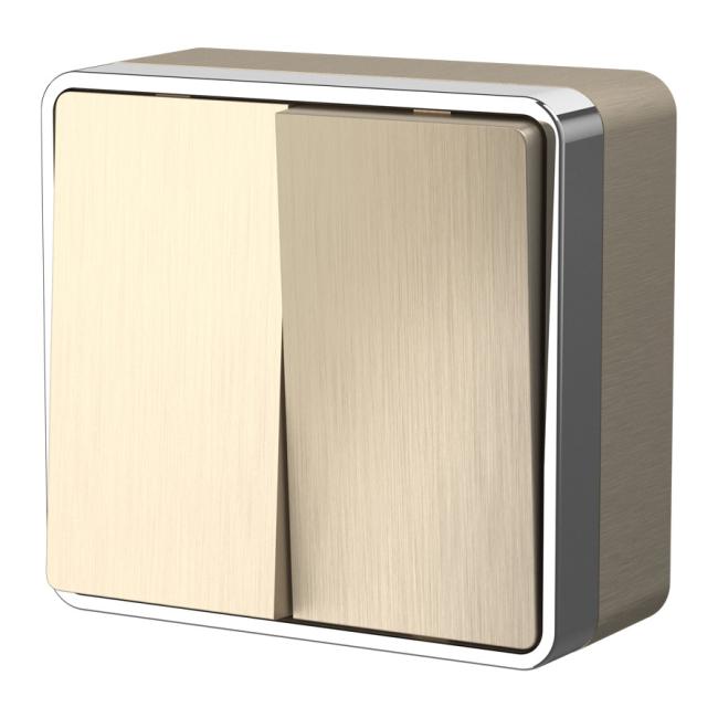Выключатель Werkel W5020010/ Выключатель двухклавишный Gallant (шампань рифленый)