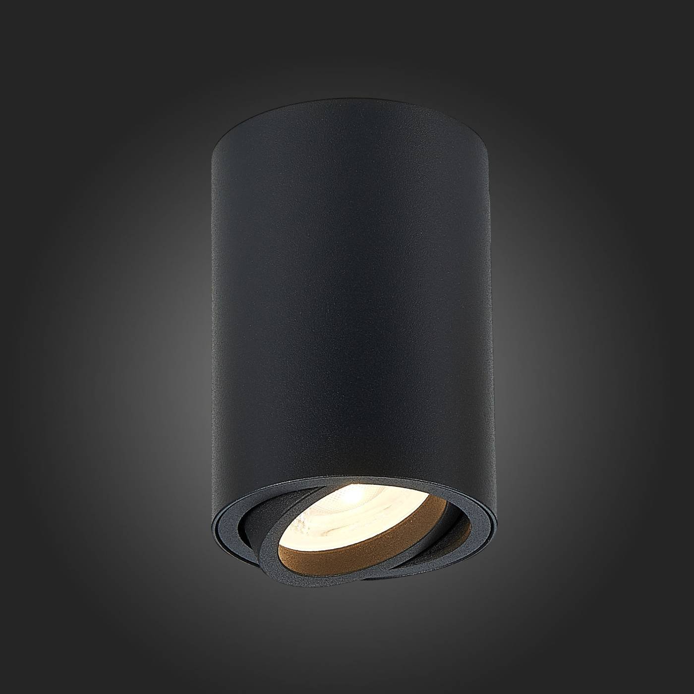 ST108.407.01 Накладной светильник ST Luce Torus ST108.407.01