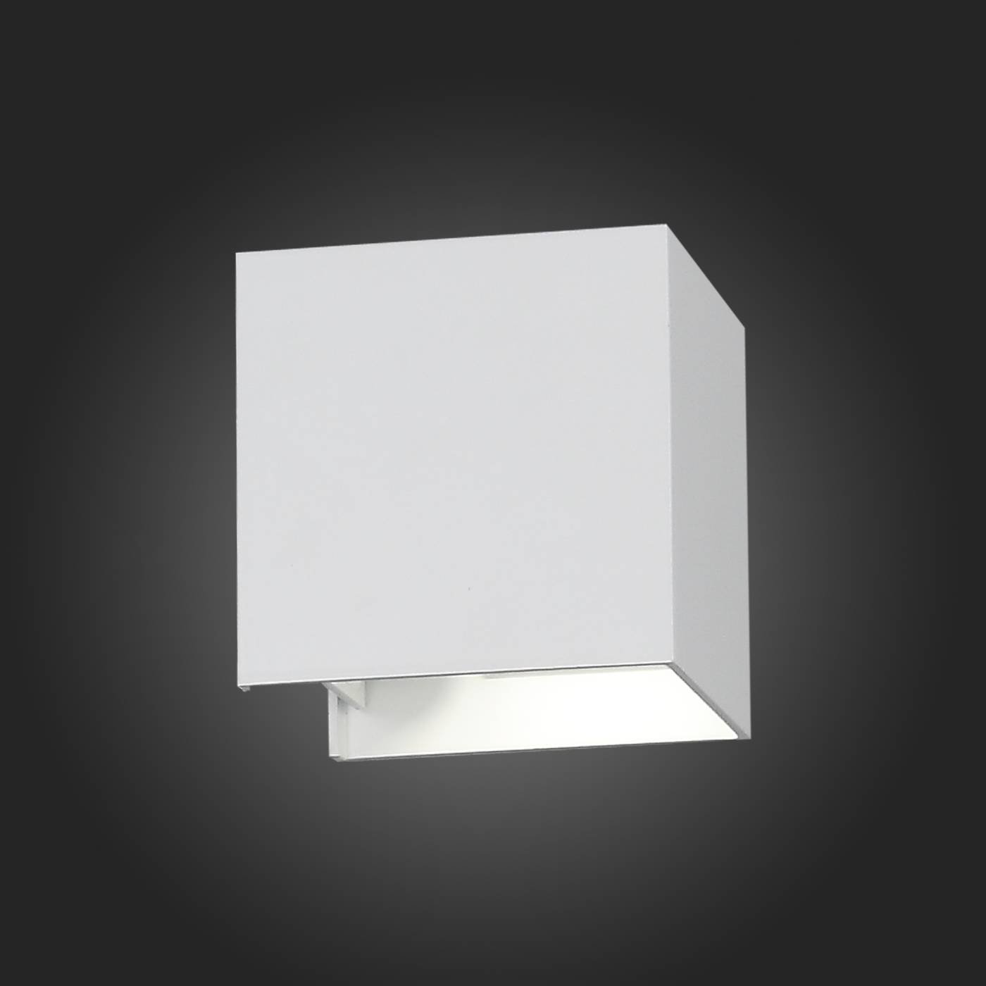 SL560.501.02 Уличный LED настенный светильник ST Luce Staffa SL560.501.02