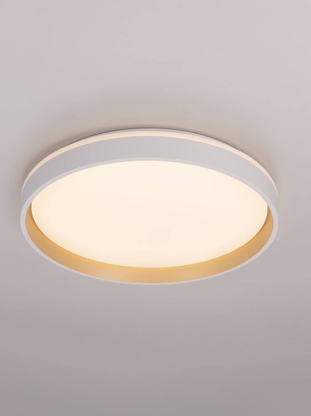 CL753450G Светильник потолочный Citilux Enzo CL753450G