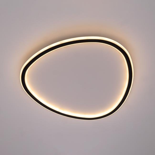 CL215B251E Потолочная люстра Citilux Тrio CL215B251E