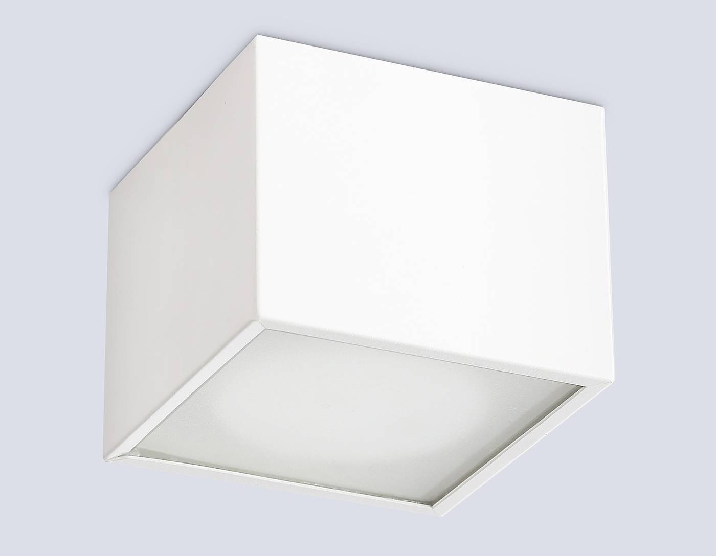 Накладной светильник Ambrella IP Protect TN6530