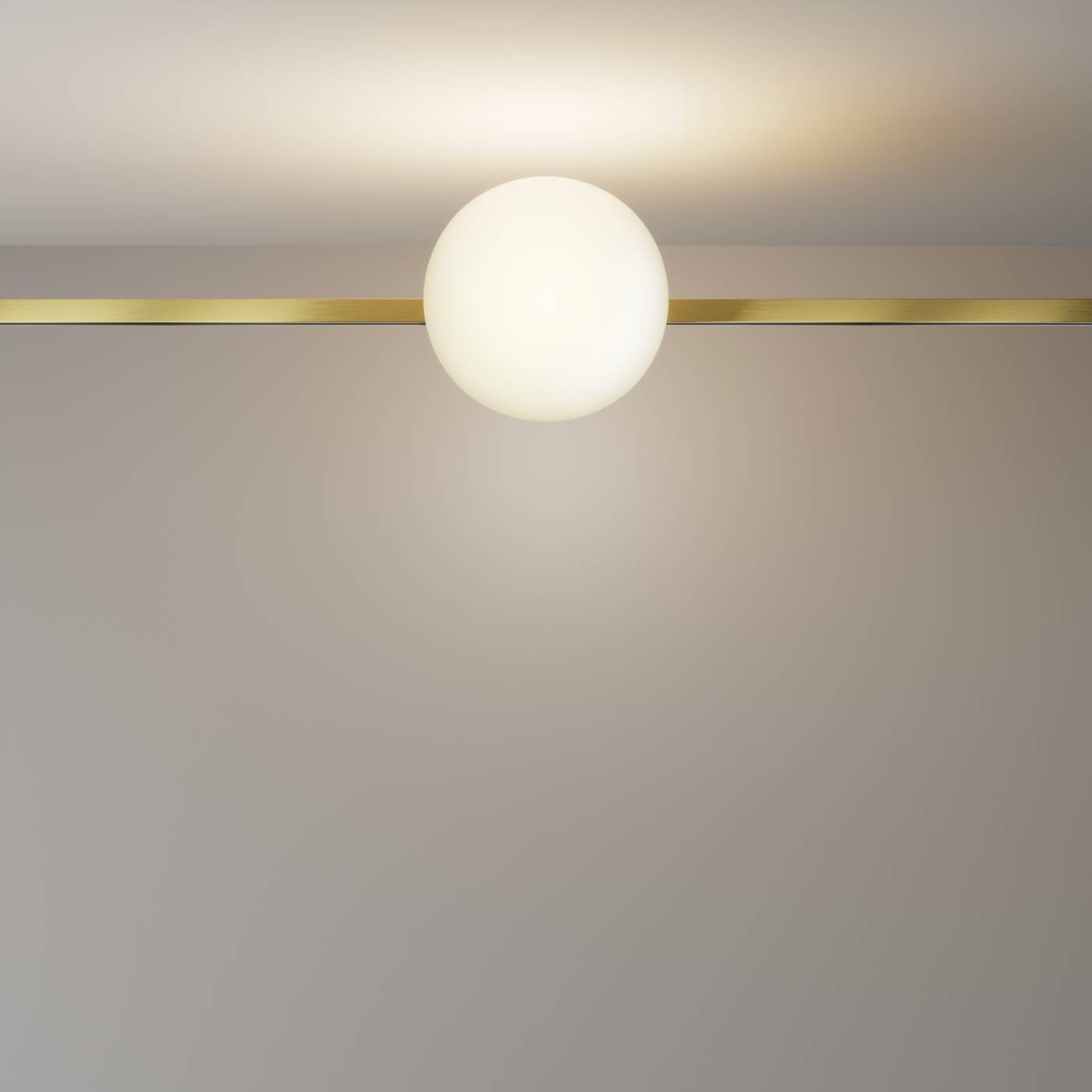 TR229-1-8W3K-BS Трековый светильник Luna Maytoni TR229-1-8W3K-BS