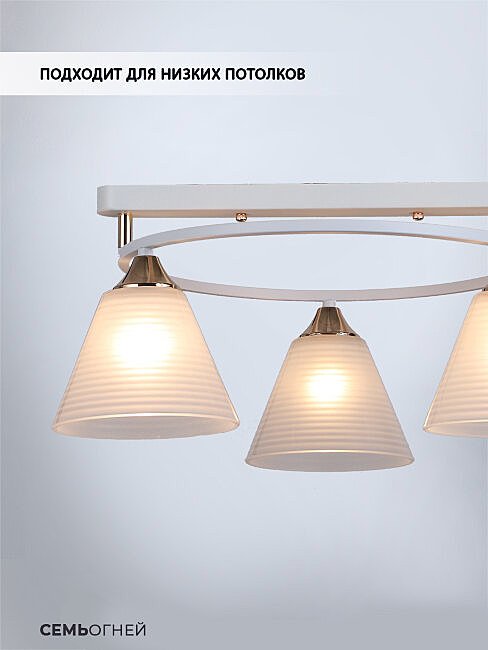 Потолочная люстра Wedo Light Gredi WD3634/3C-WT-FGD-WT